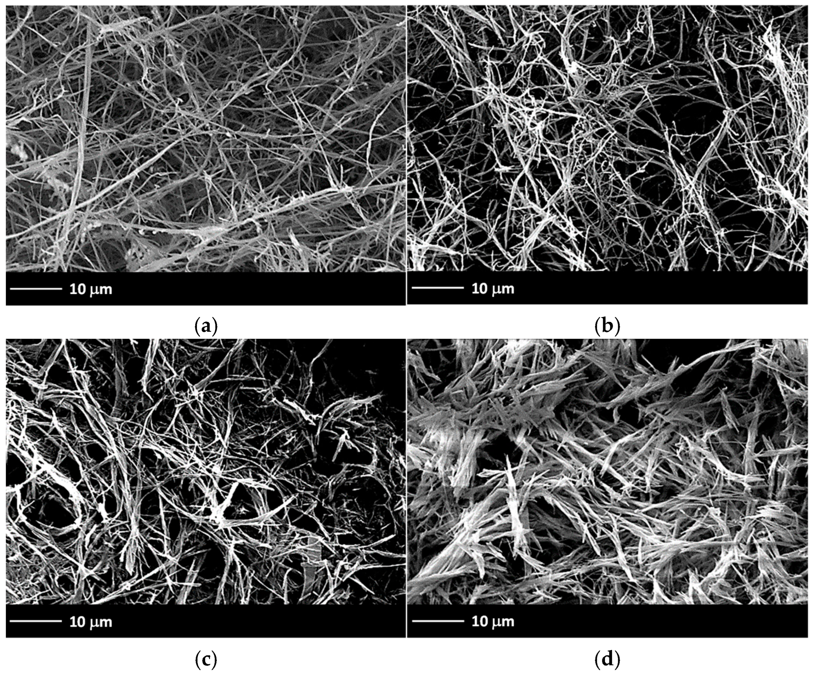 Gels 11 00160 g007 Gels 11 00160 g007