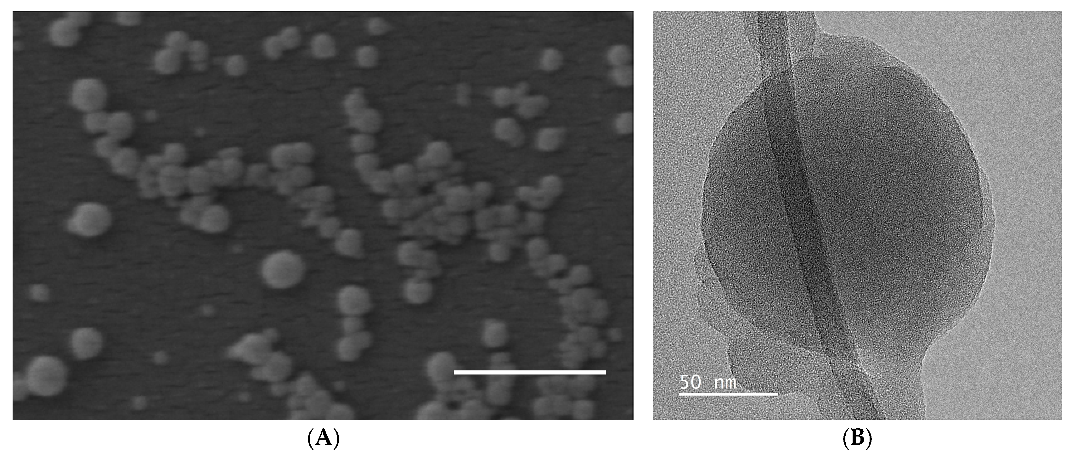 Gels 11 00168 g001