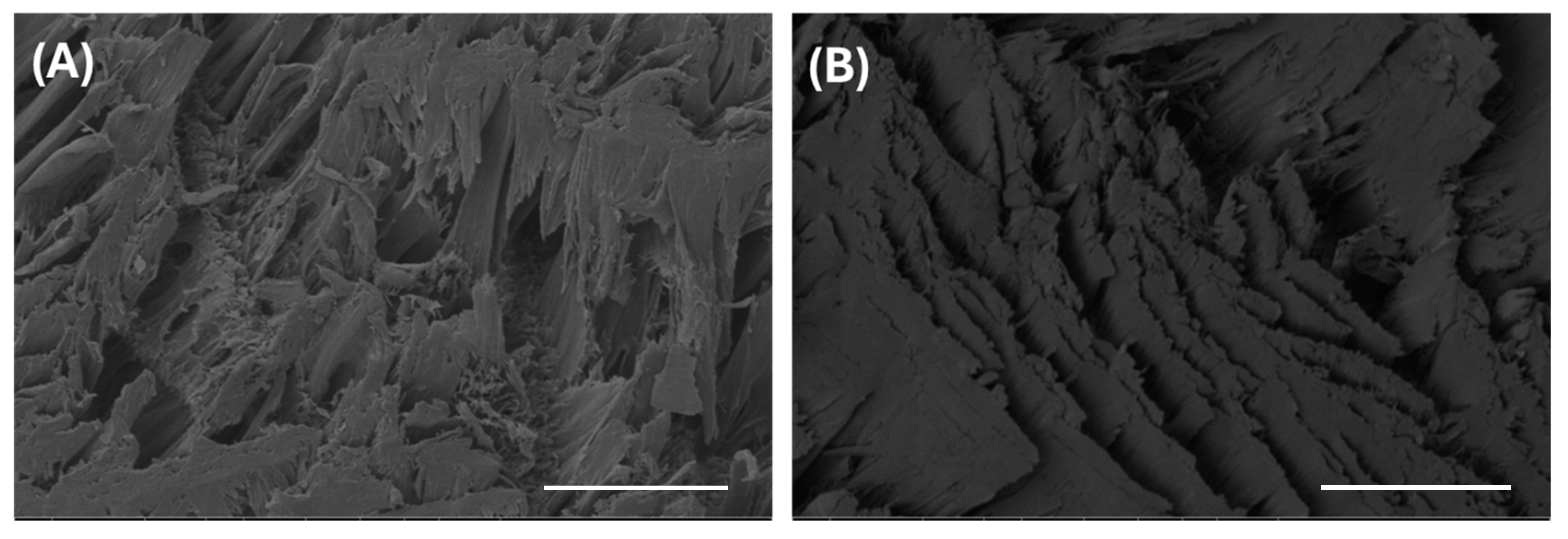 Gels 11 00168 g006