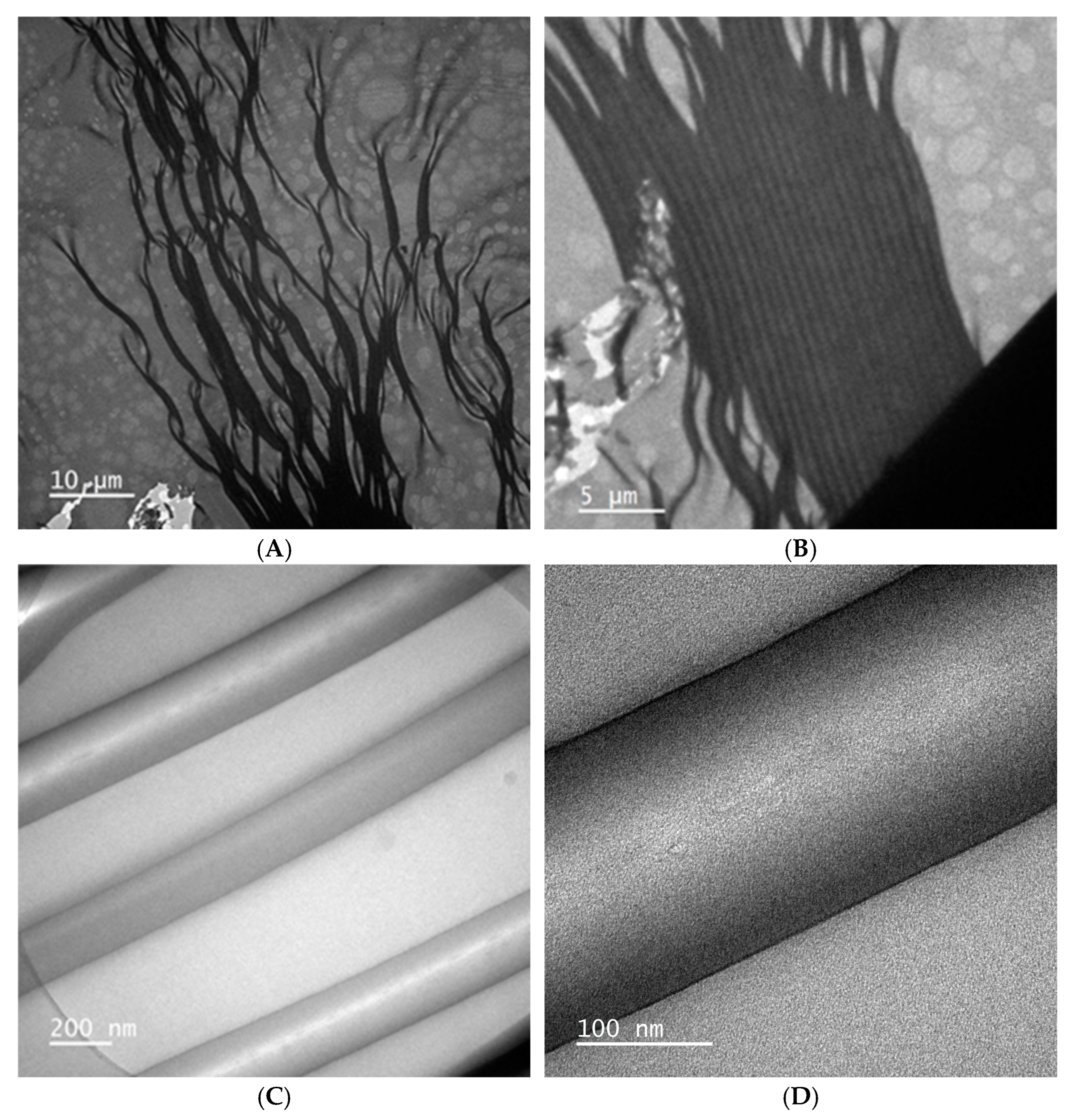Gels 11 00168 g007