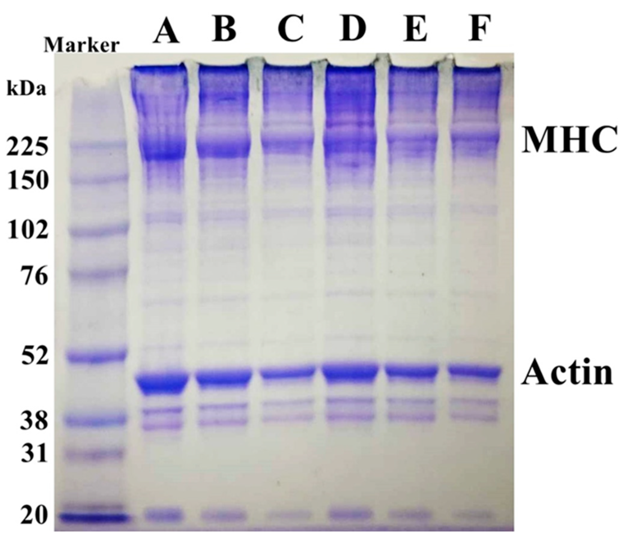 Gels 11 00182 g004 Gels 11 00182 g004