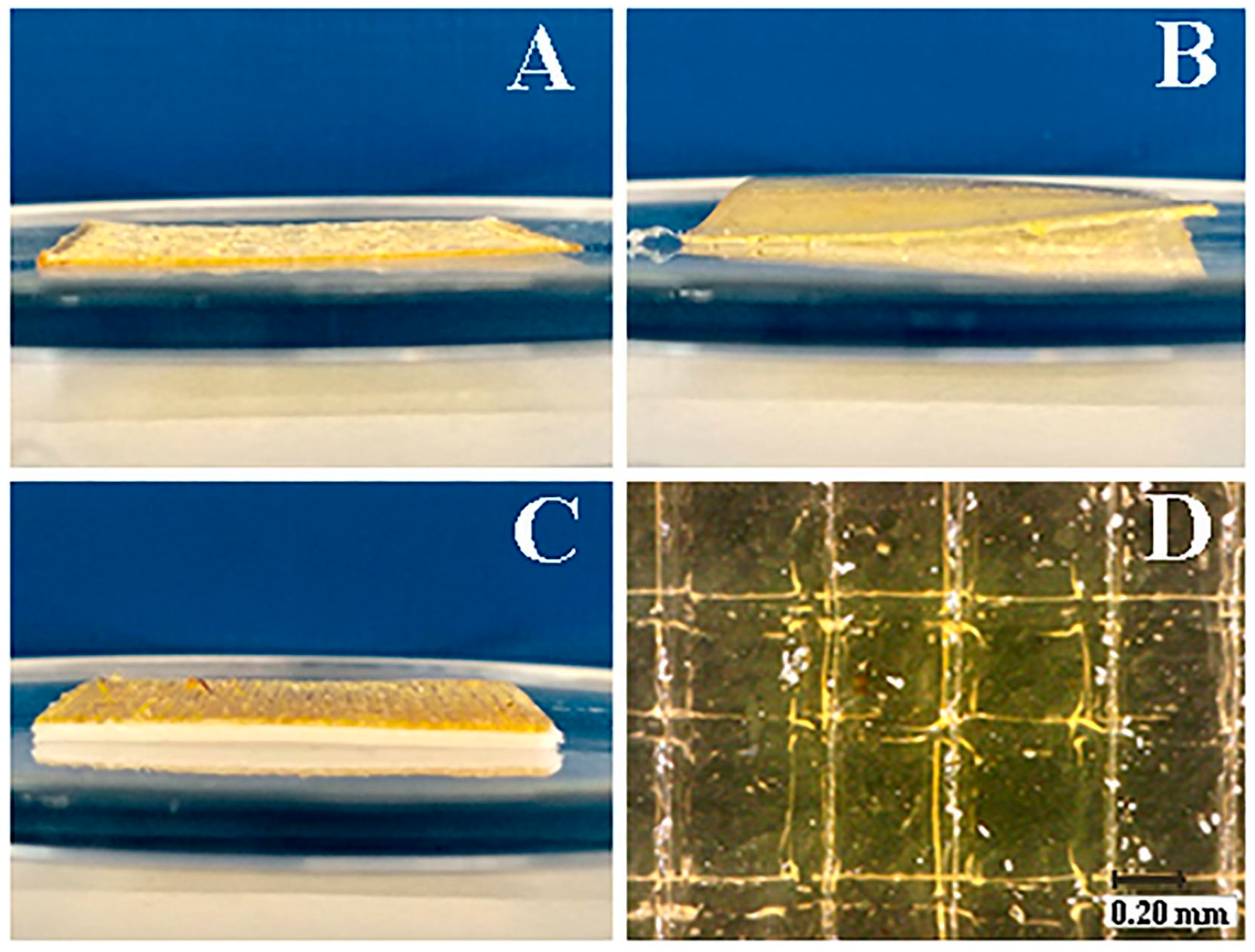 Gels 11 00187 g006