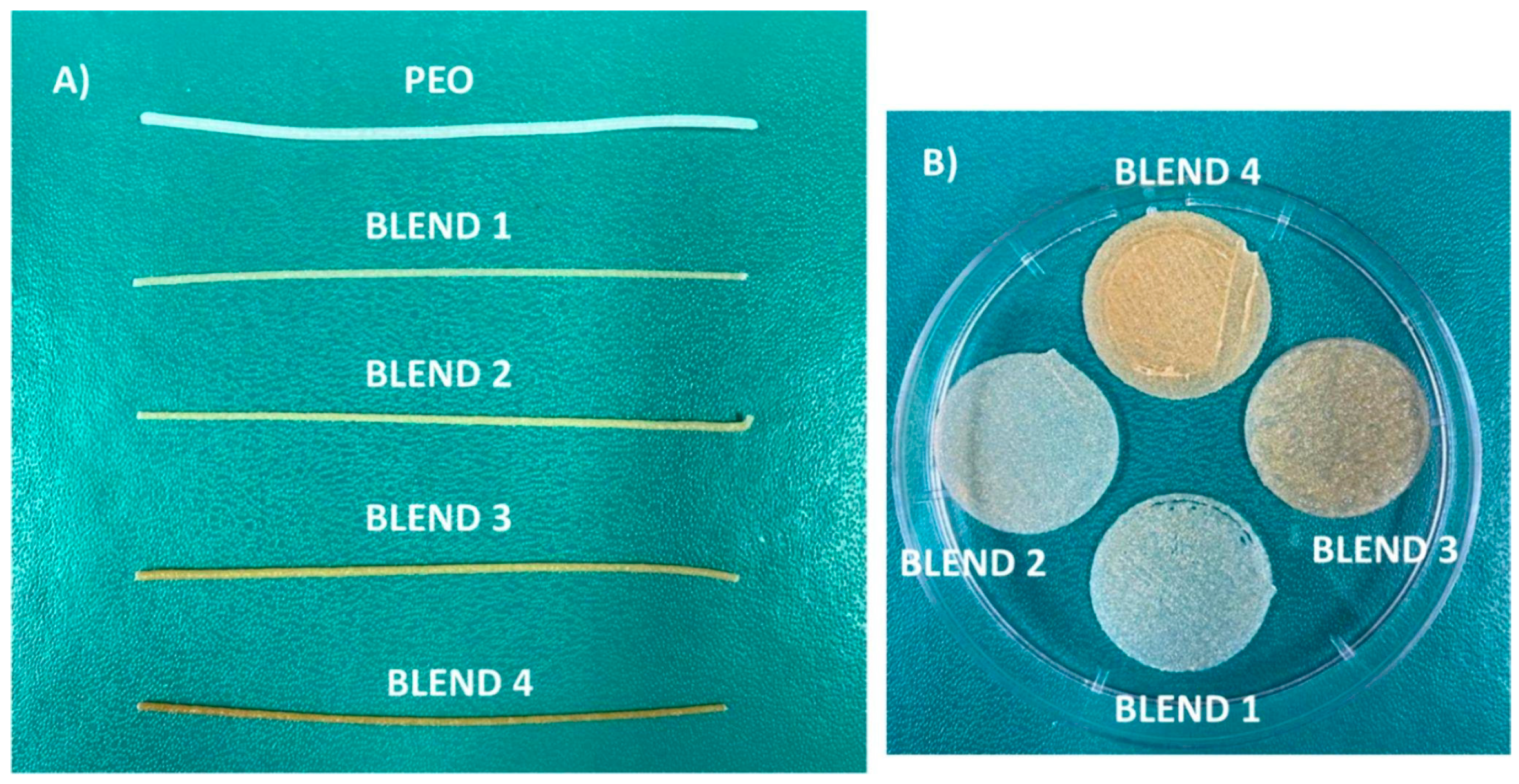 Gels 11 00187 g007