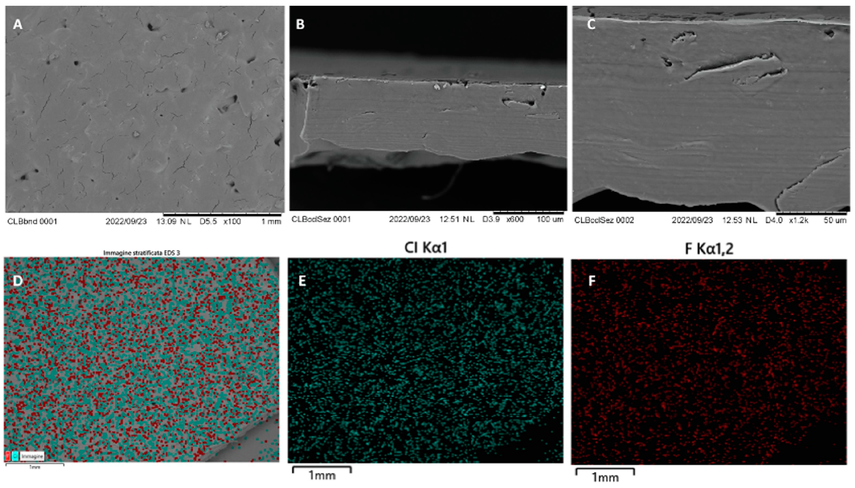Gels 11 00187 g008