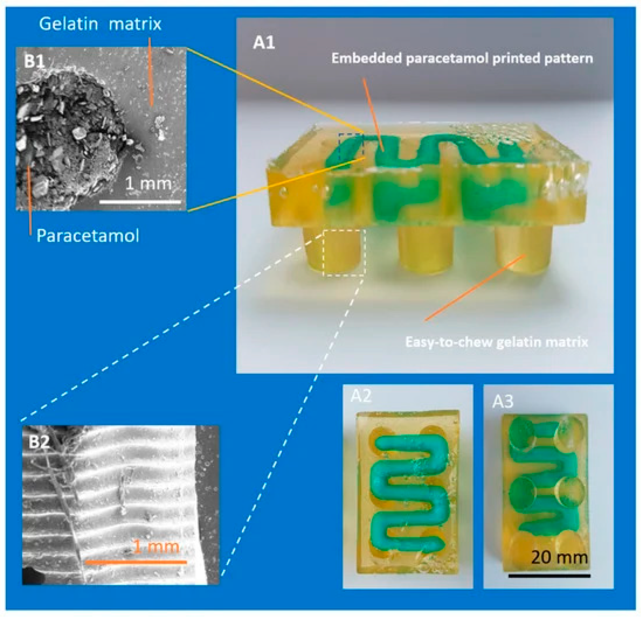 Gels 11 00187 g011