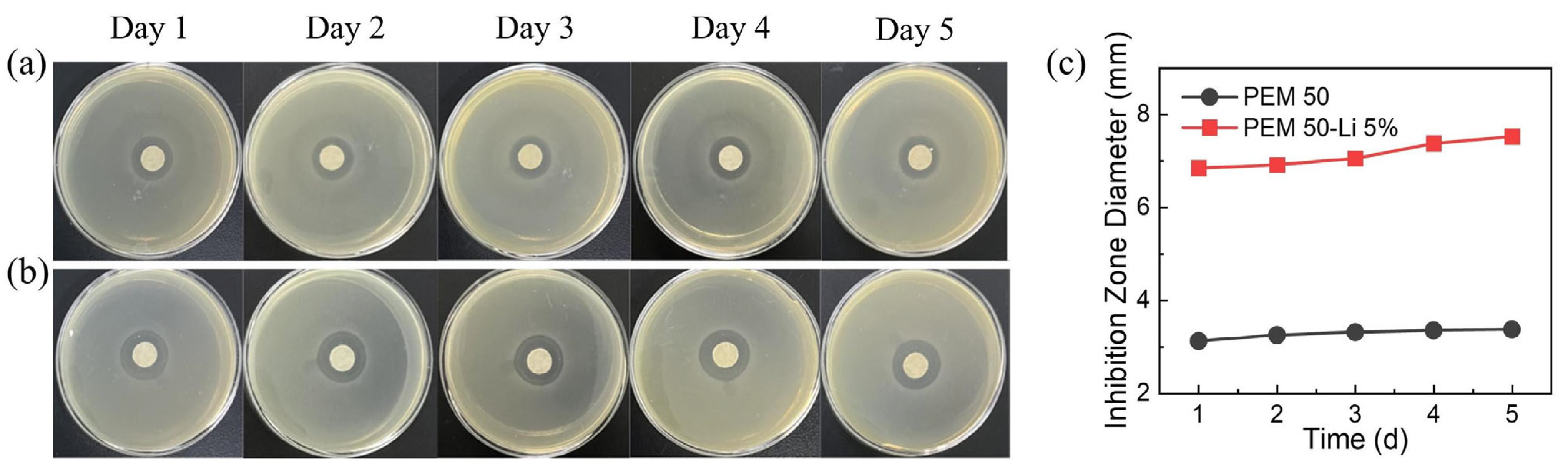 Gels 11 00242 g012 Gels 11 00242 g012