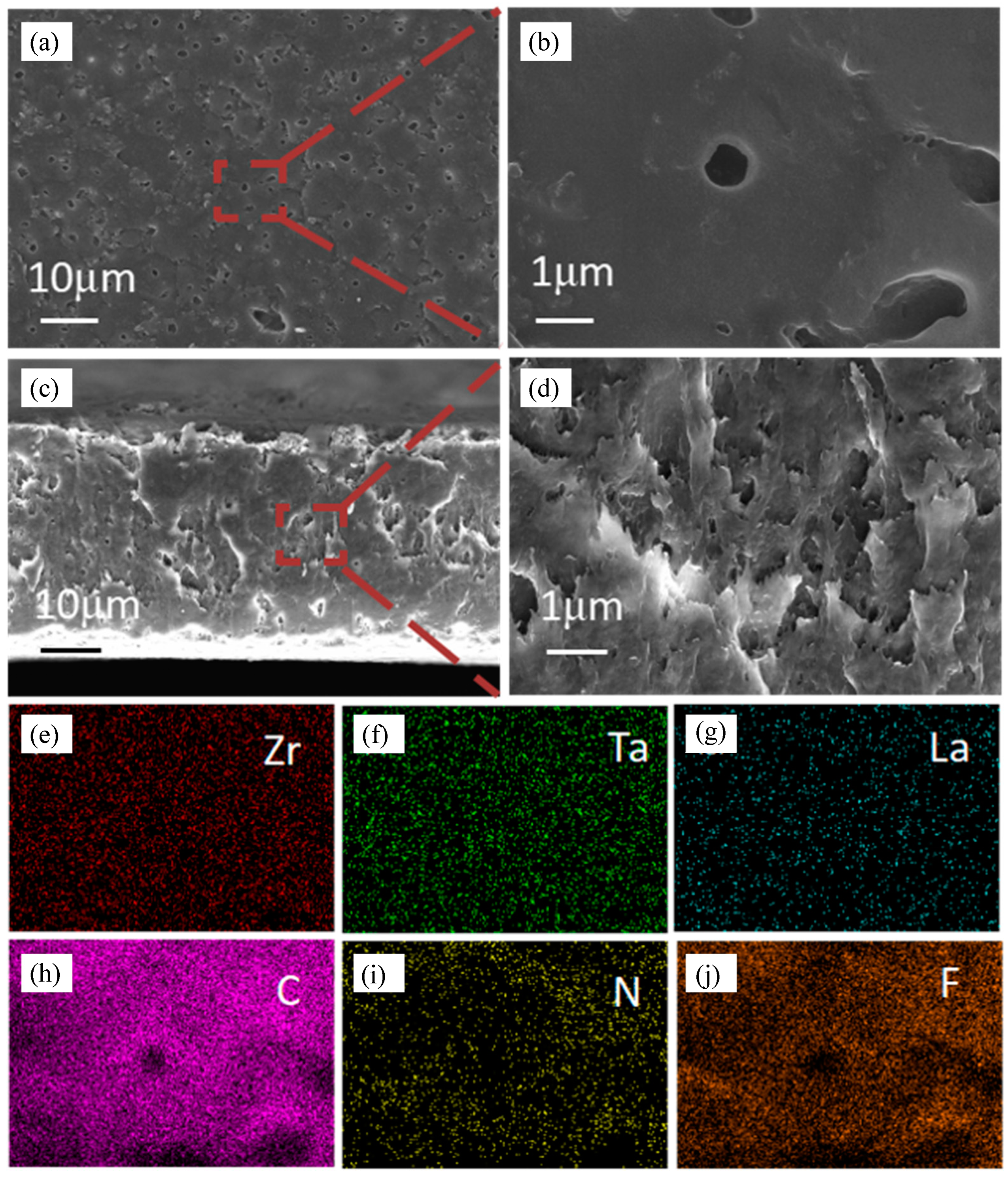 Gels 11 00317 g001