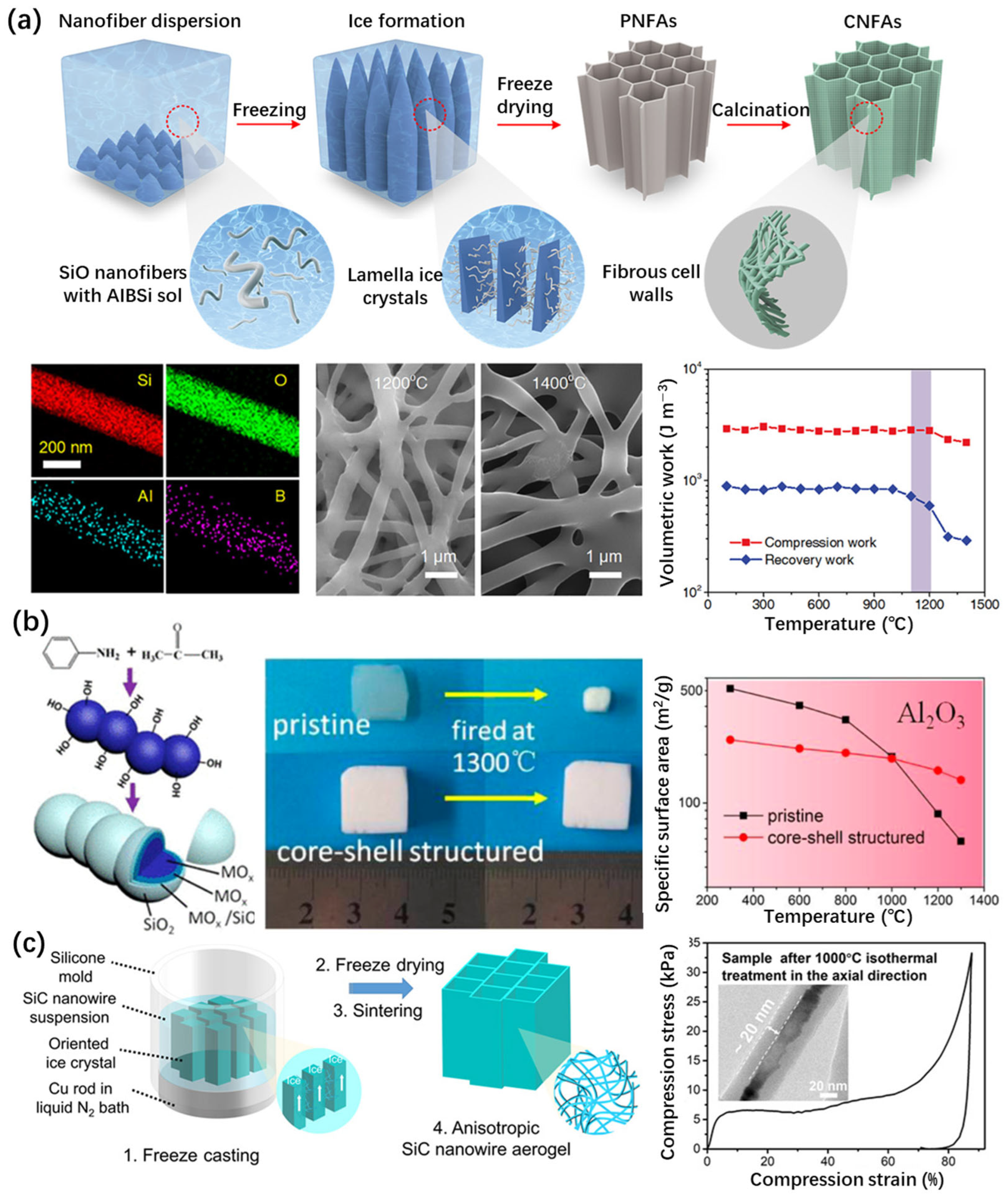 Gels 11 00357 g007