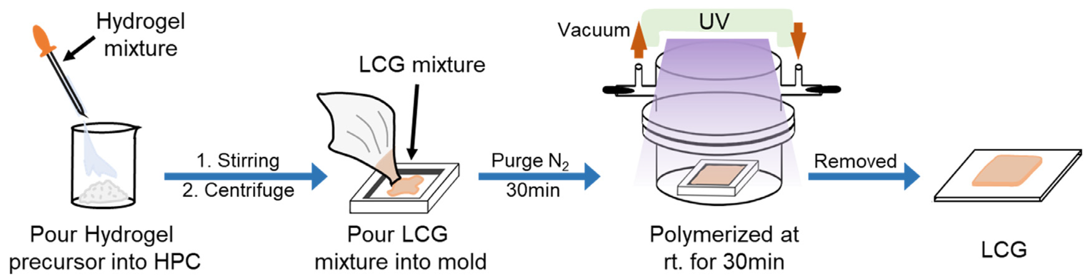 Gels 11 00388 sch001 Gels 11 00388 sch001