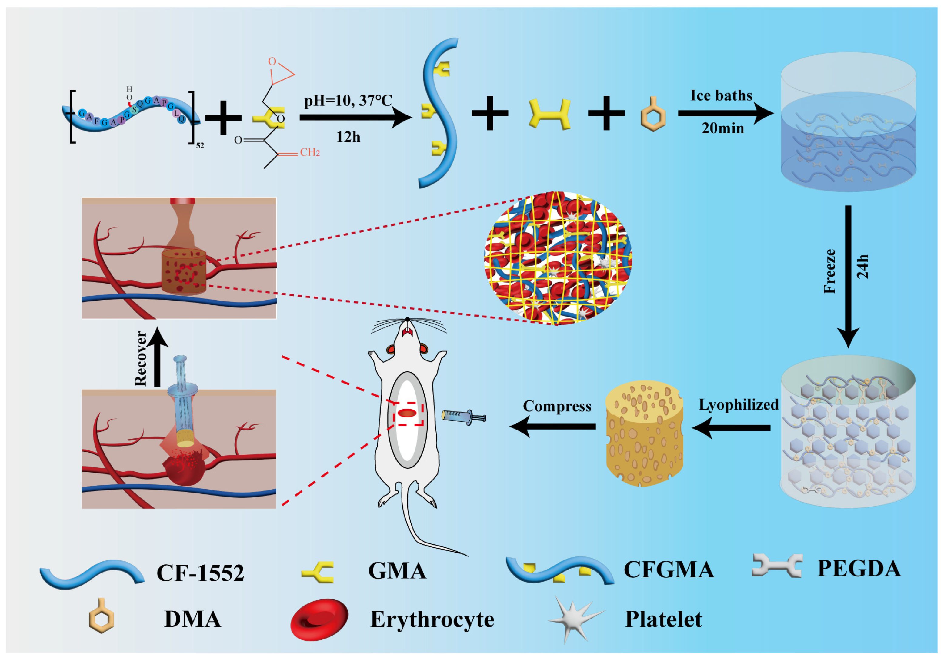 Gels 11 00445 sch001