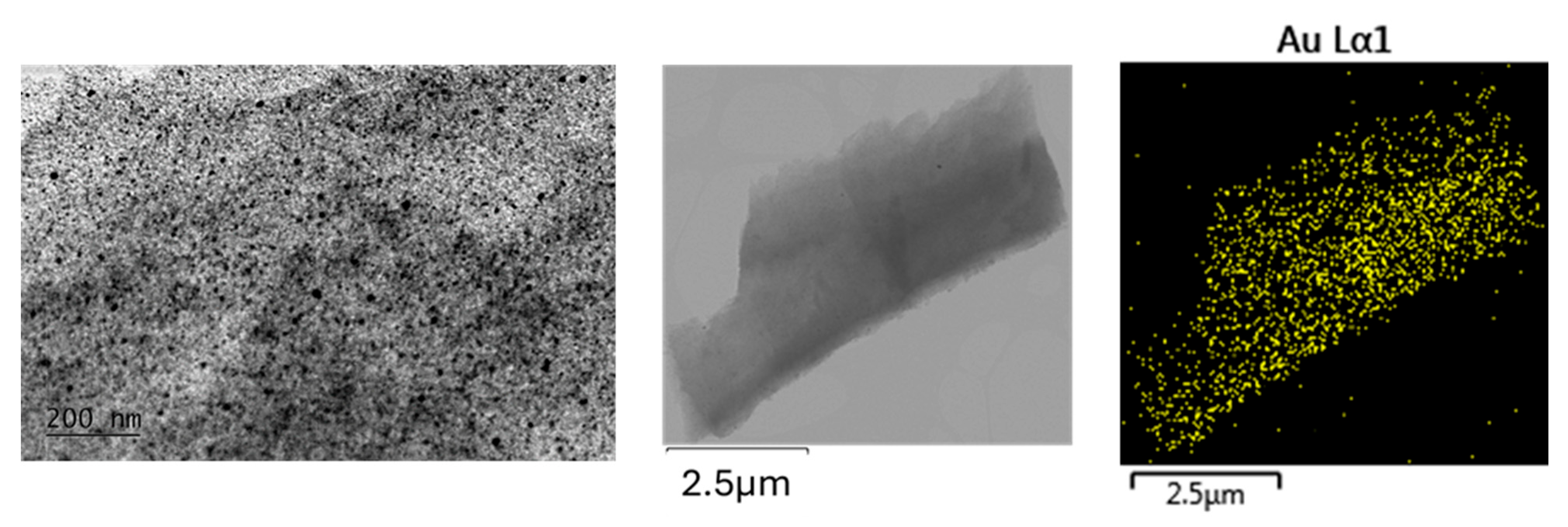 Gels 11 00454 g004 Gels 11 00454 g004