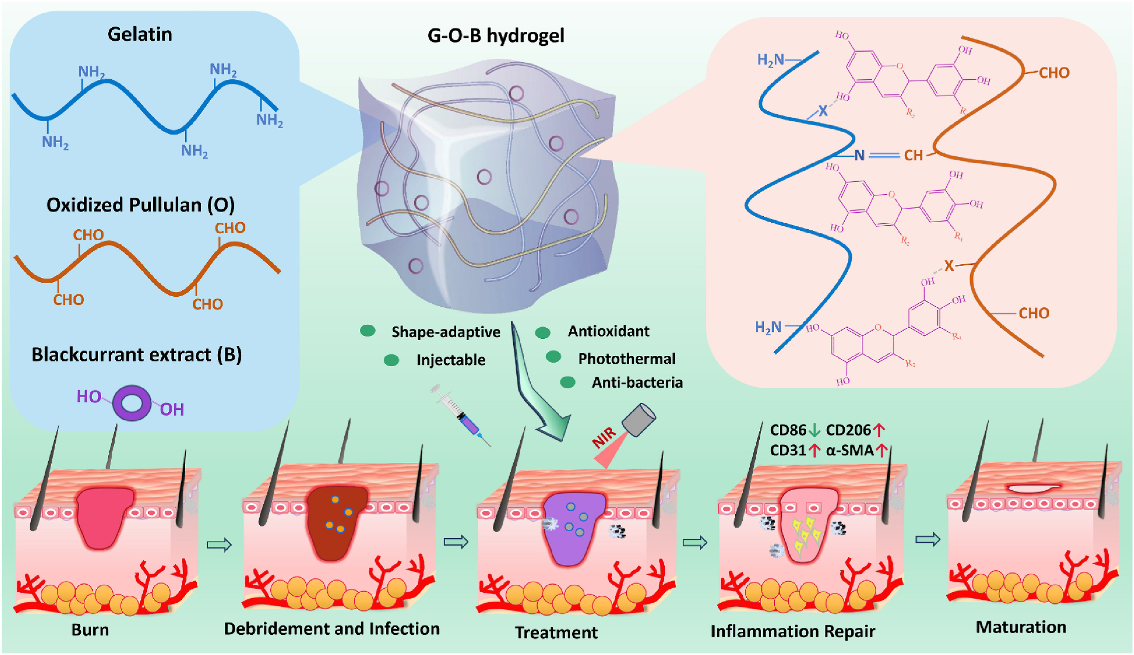 Advances in Nanohybrid Hydrogels for Wound Healing: From Functional ...