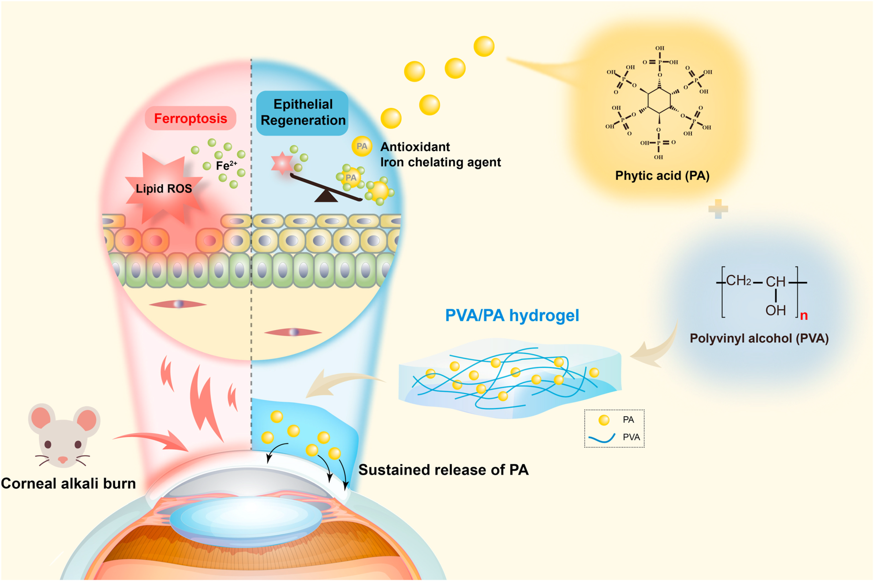 Advances in Nanohybrid Hydrogels for Wound Healing: From Functional ...
