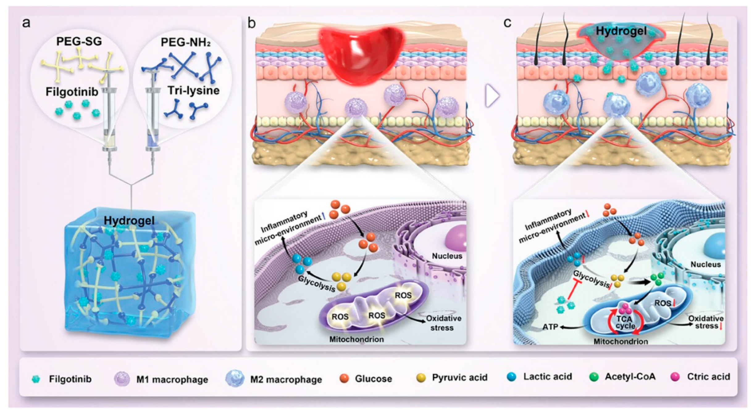 Advances in Nanohybrid Hydrogels for Wound Healing: From Functional ...