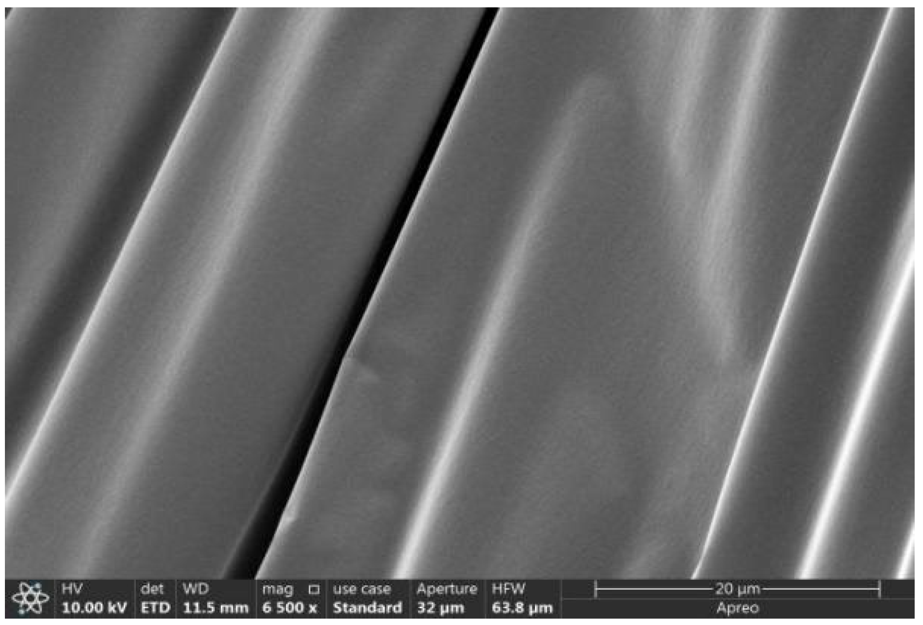 Gels 11 00558 g012 Gels 11 00558 g012