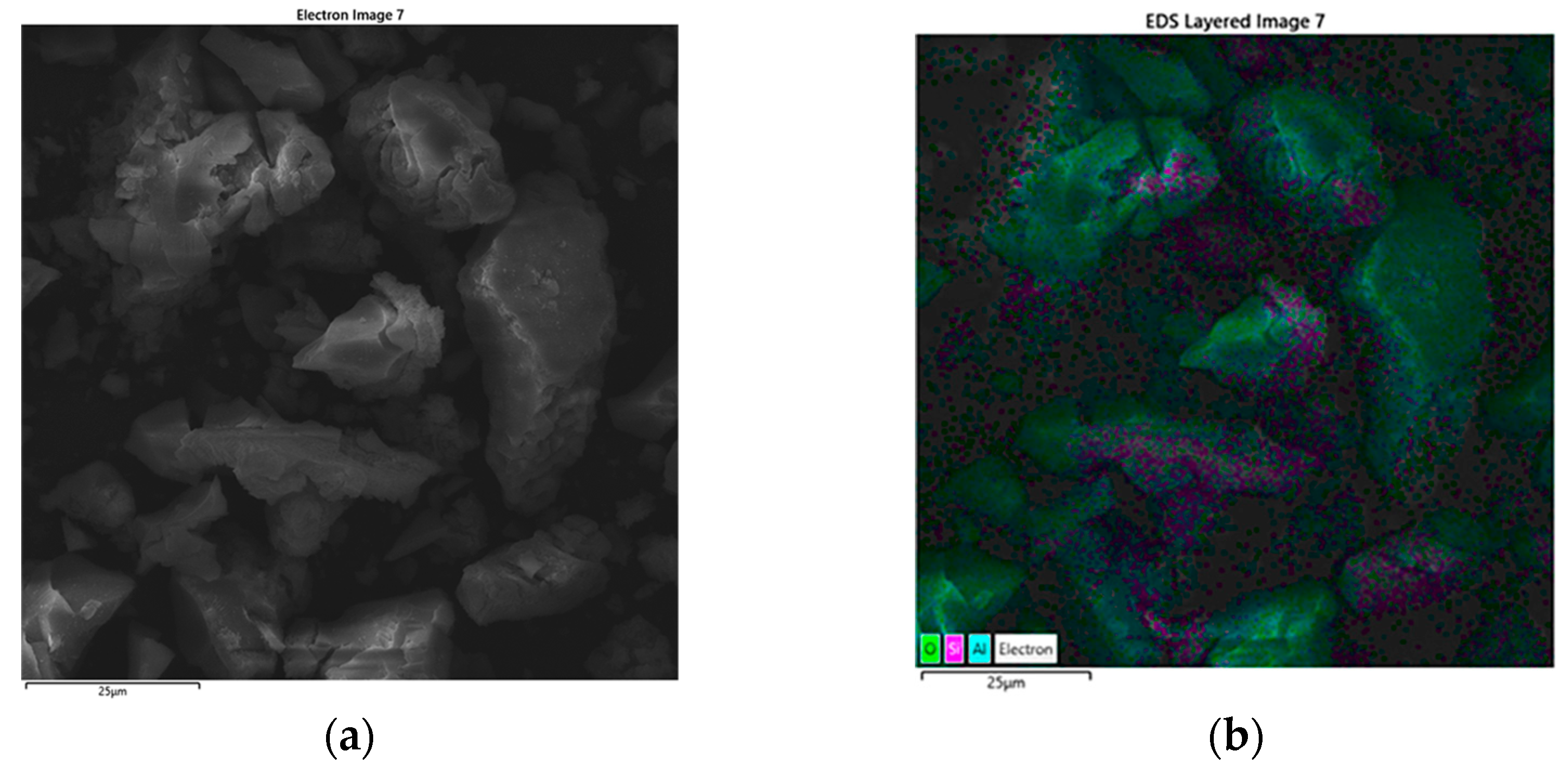 Gels 11 00575 g002a Gels 11 00575 g002a