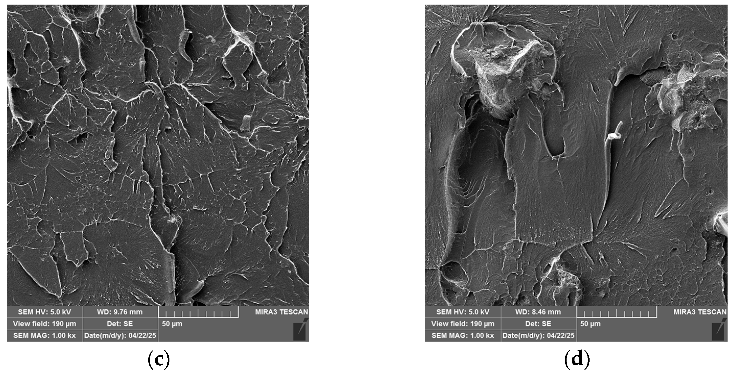 Gels 11 00575 g009b Gels 11 00575 g009b