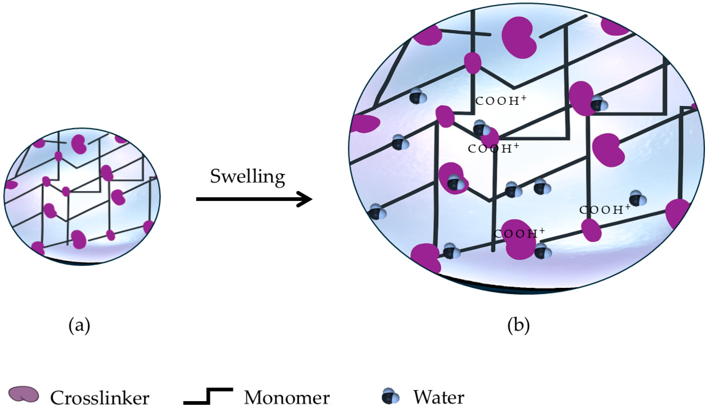 Gels 11 00616 g002 Gels 11 00616 g002