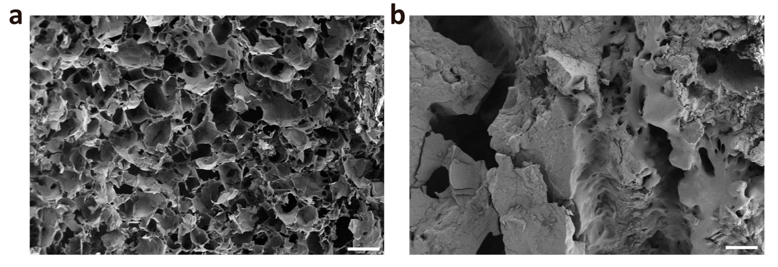 Gels 11 00651 g003