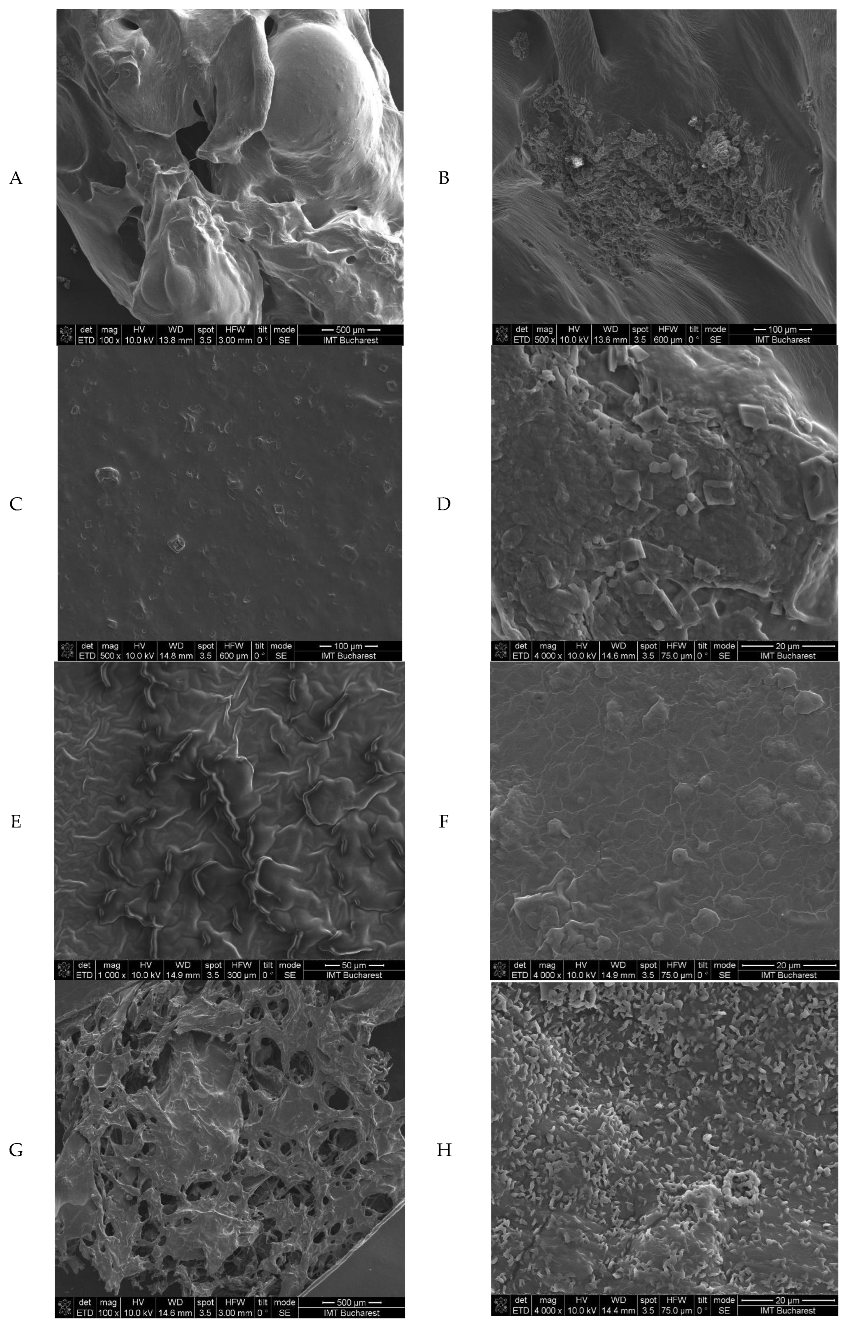 Gels 11 00653 g003