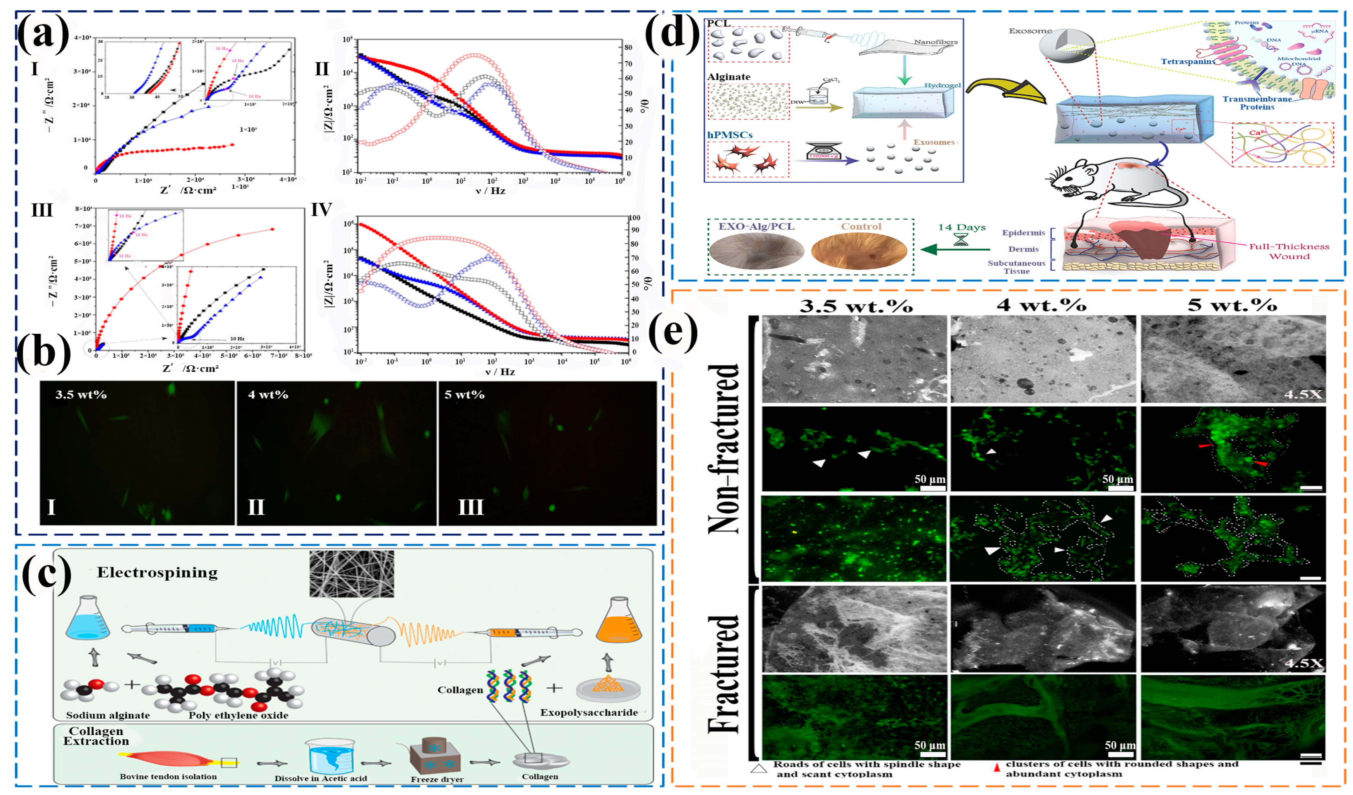 Gels 11 00704 g005 Gels 11 00704 g005