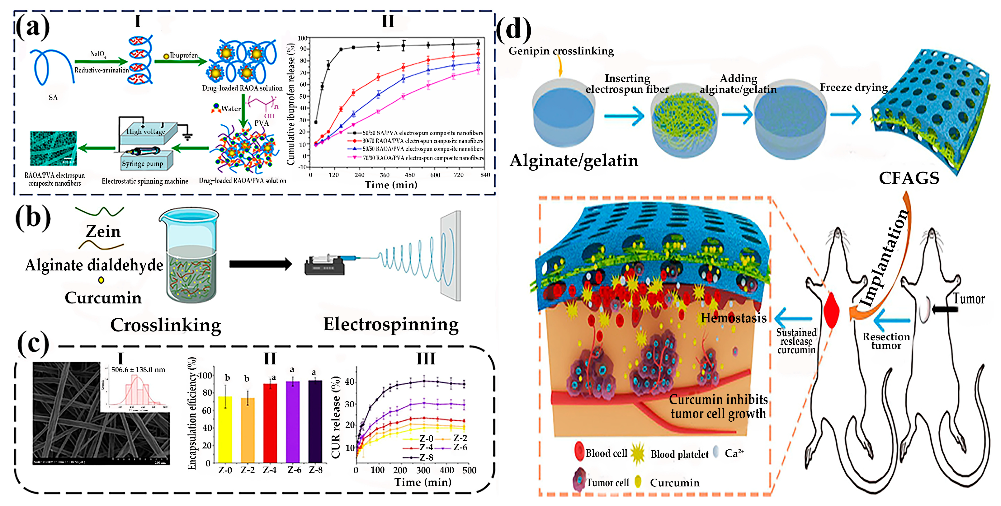 Gels 11 00704 g007 Gels 11 00704 g007