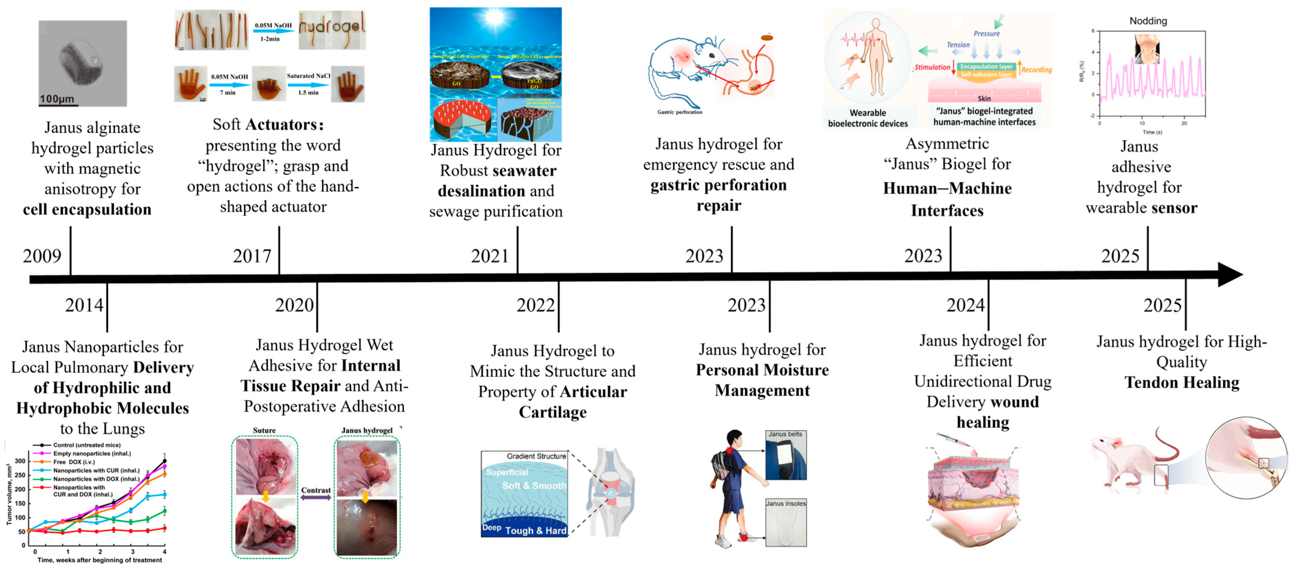 Gels 11 00717 sch001