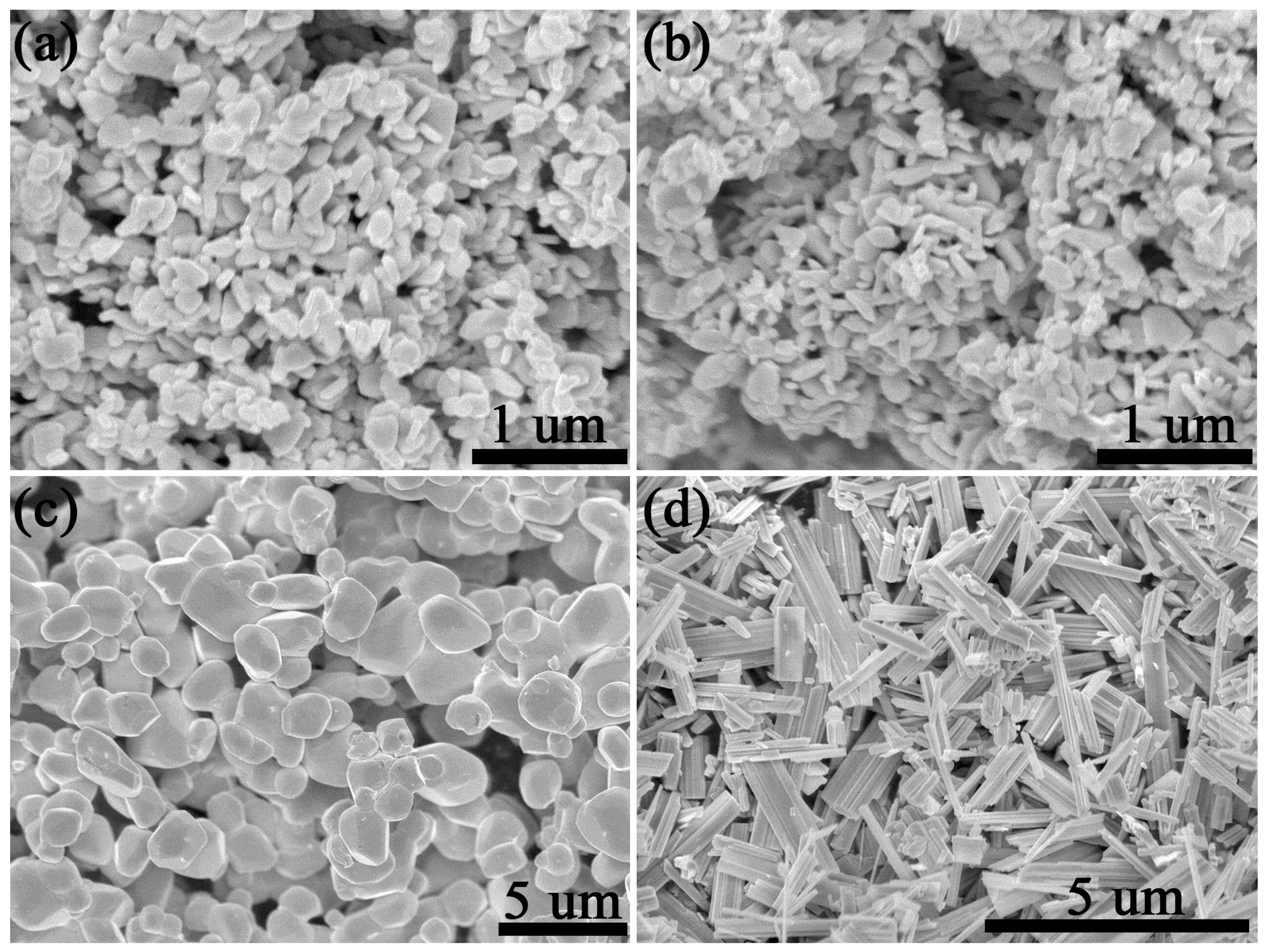 Gels 11 00783 g002 Gels 11 00783 g002