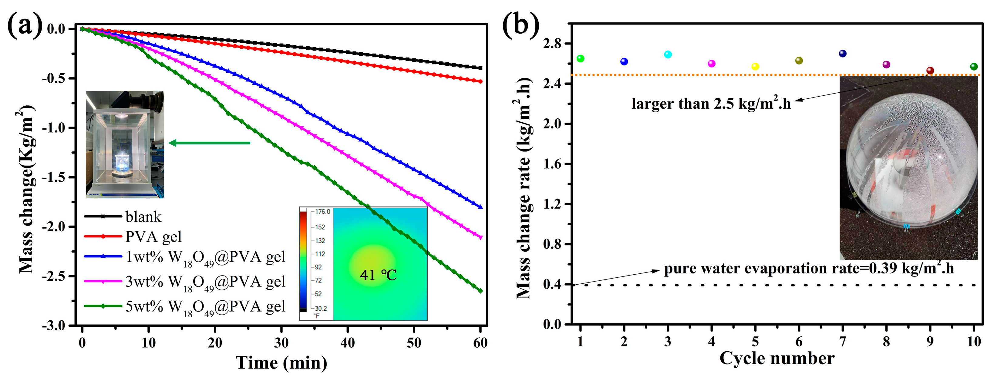 Gels 11 00783 g006 Gels 11 00783 g006