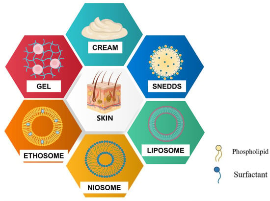 Beyond Sleeping Disorders, the Role of Melatonin in Skin Diseases and ...