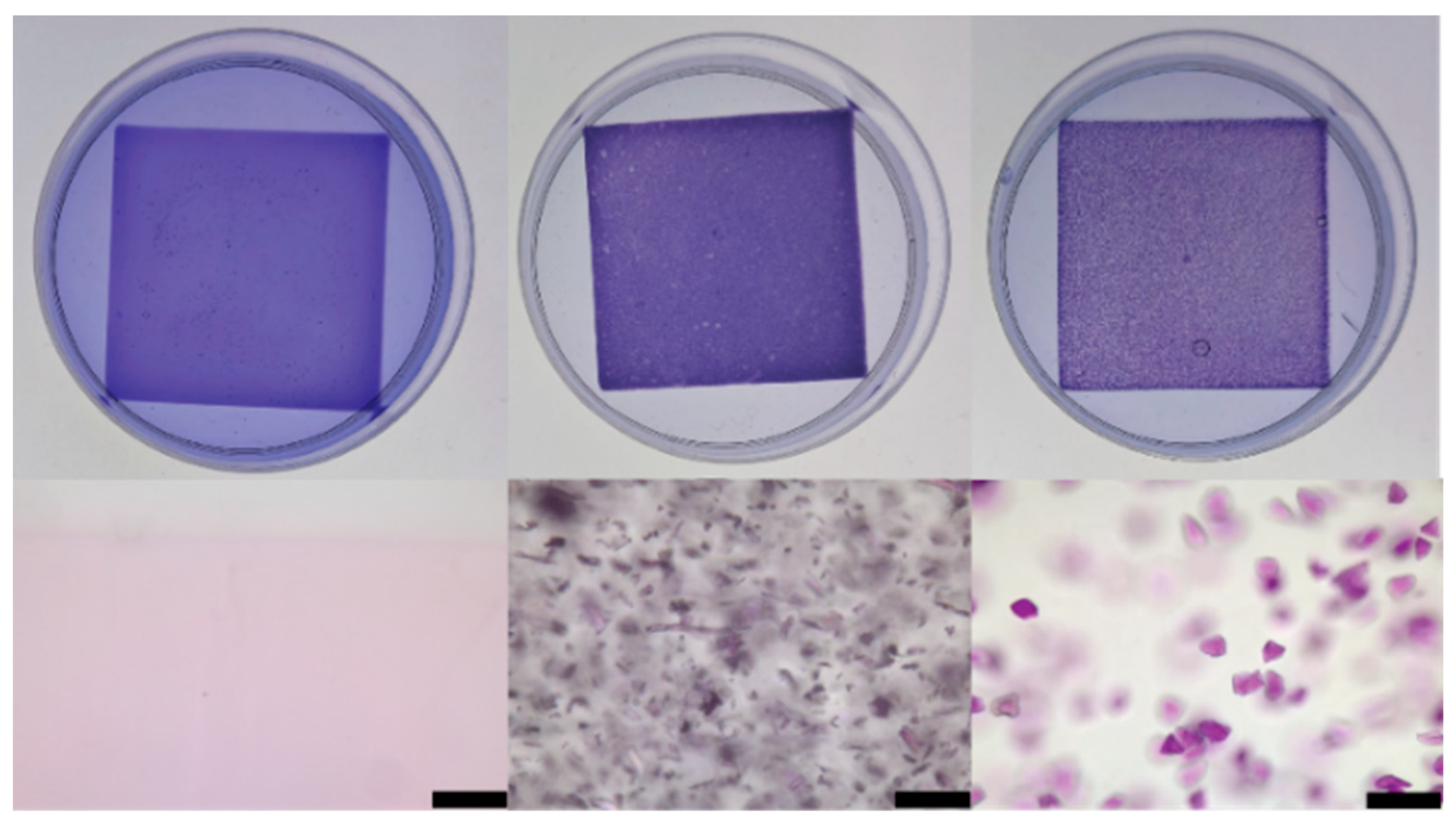 Gels 11 00965 g003