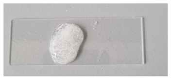 Gels 11 00983 i002 Gels 11 00983 i002