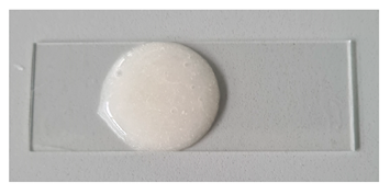 Gels 11 00983 i003 Gels 11 00983 i003