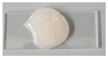 Gels 11 00983 i004 Gels 11 00983 i004