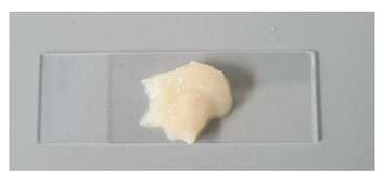 Gels 11 00983 i005 Gels 11 00983 i005