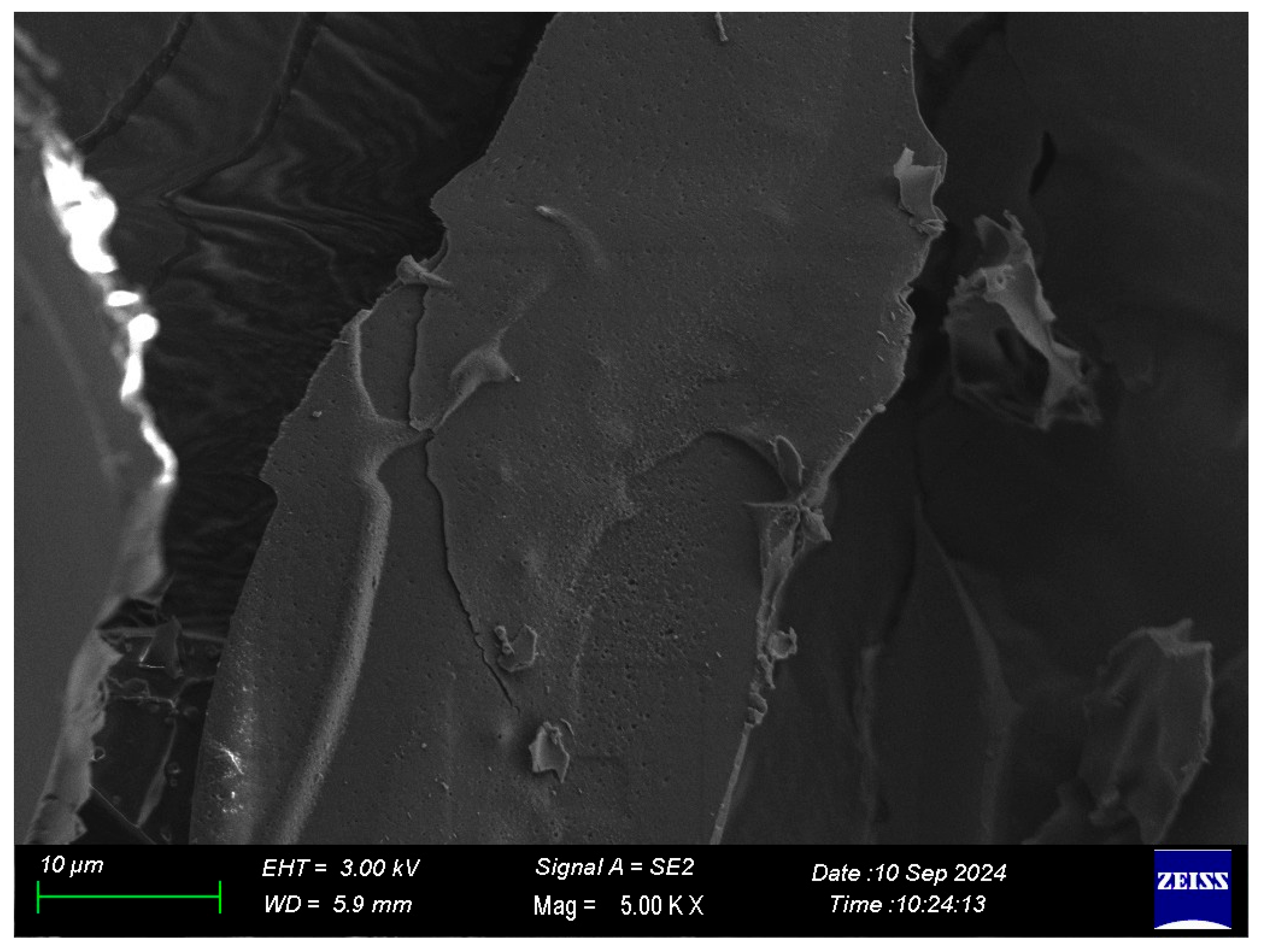 Gels 12 00053 g001 Gels 12 00053 g001