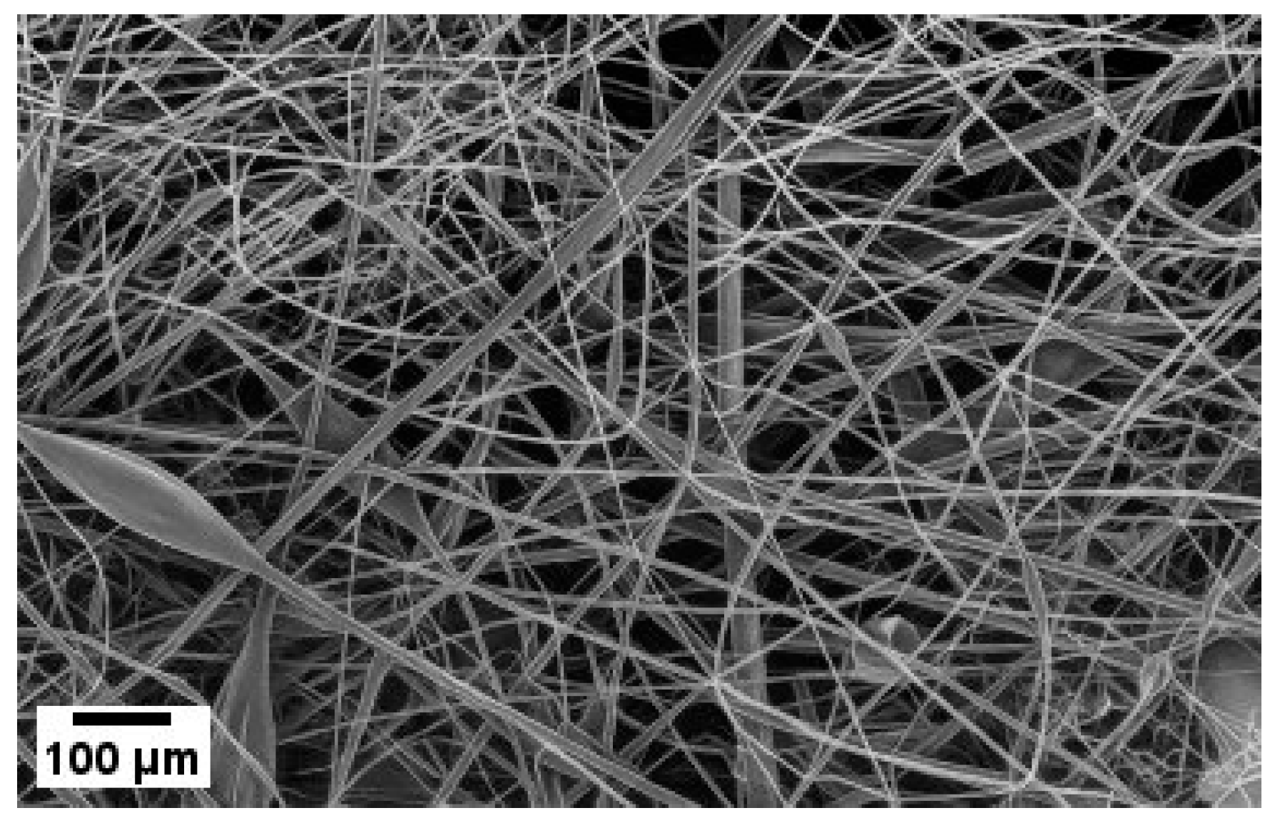 Gels 12 00055 g002 Gels 12 00055 g002