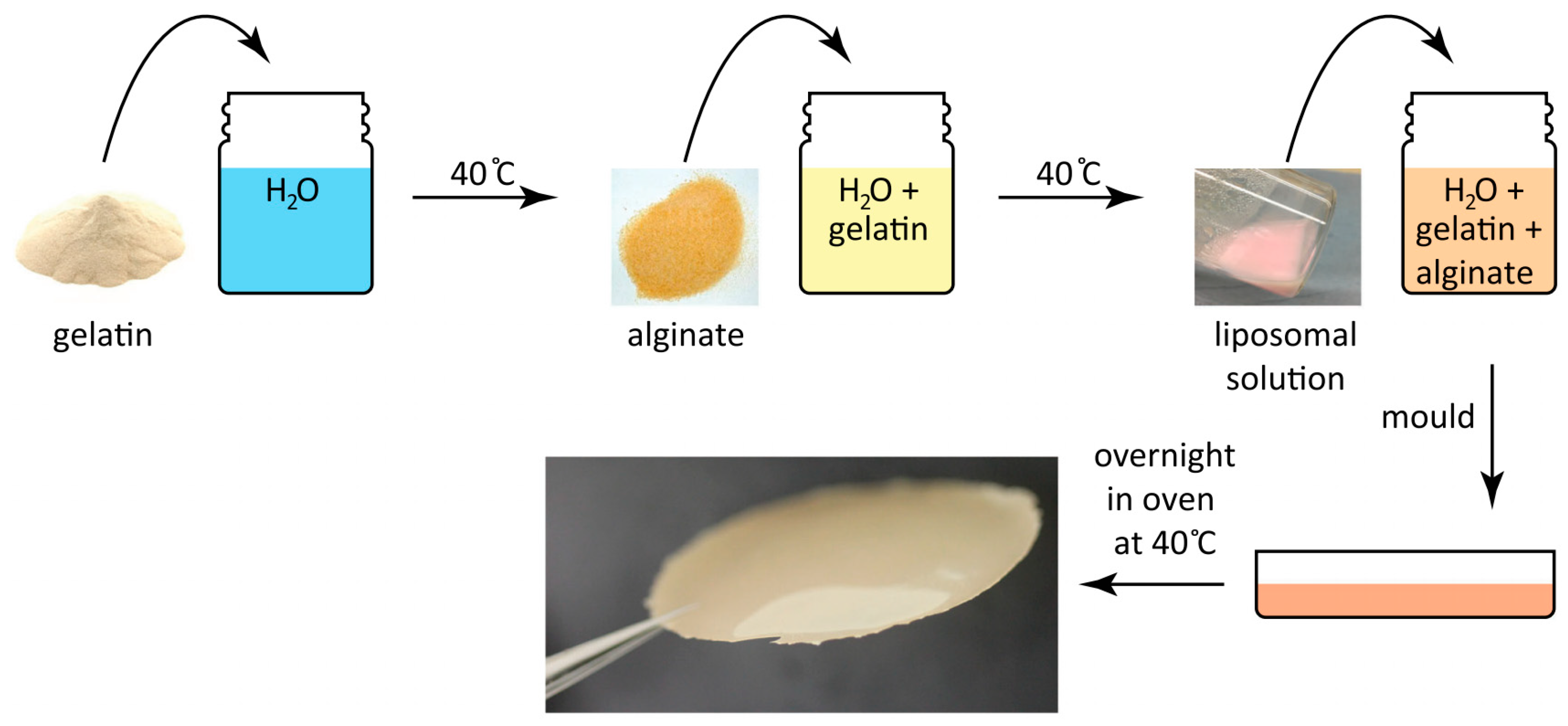 Gels 12 00080 g002 Gels 12 00080 g002