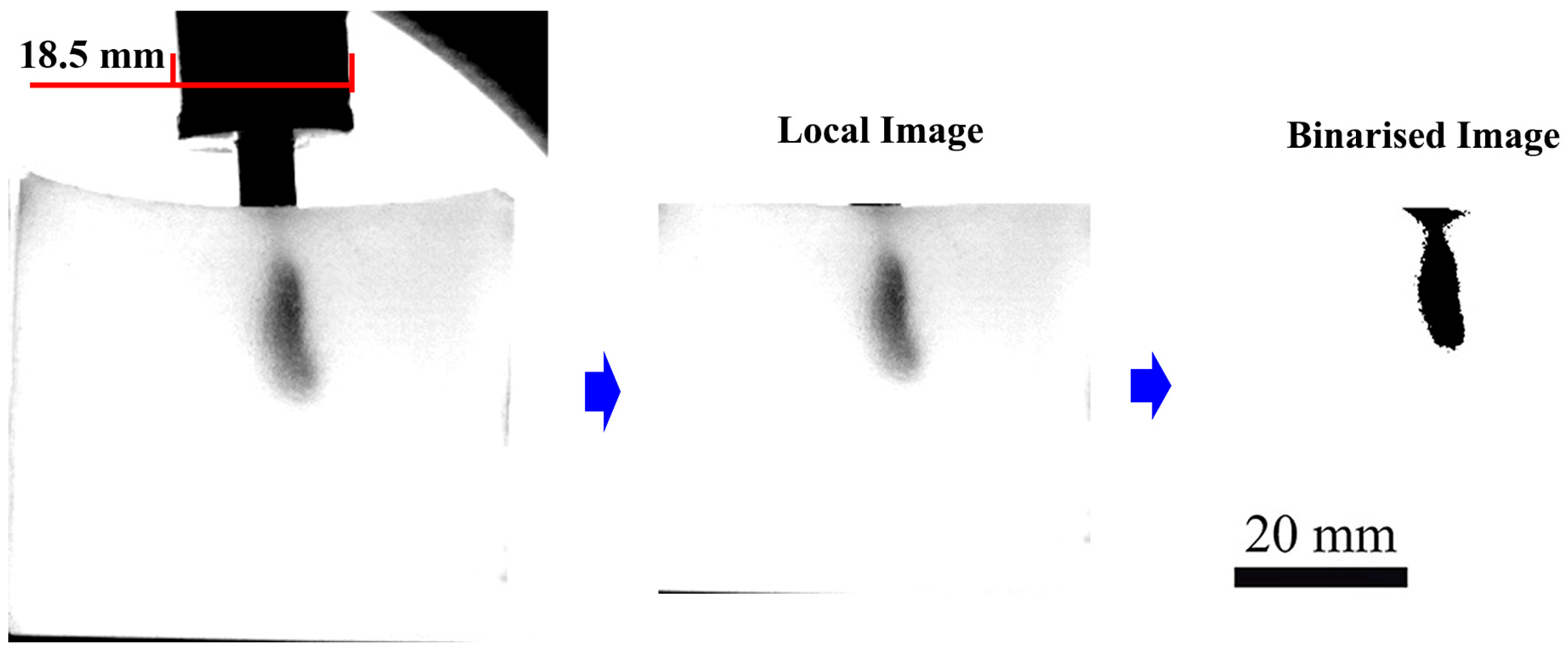 Gels 12 00095 g011