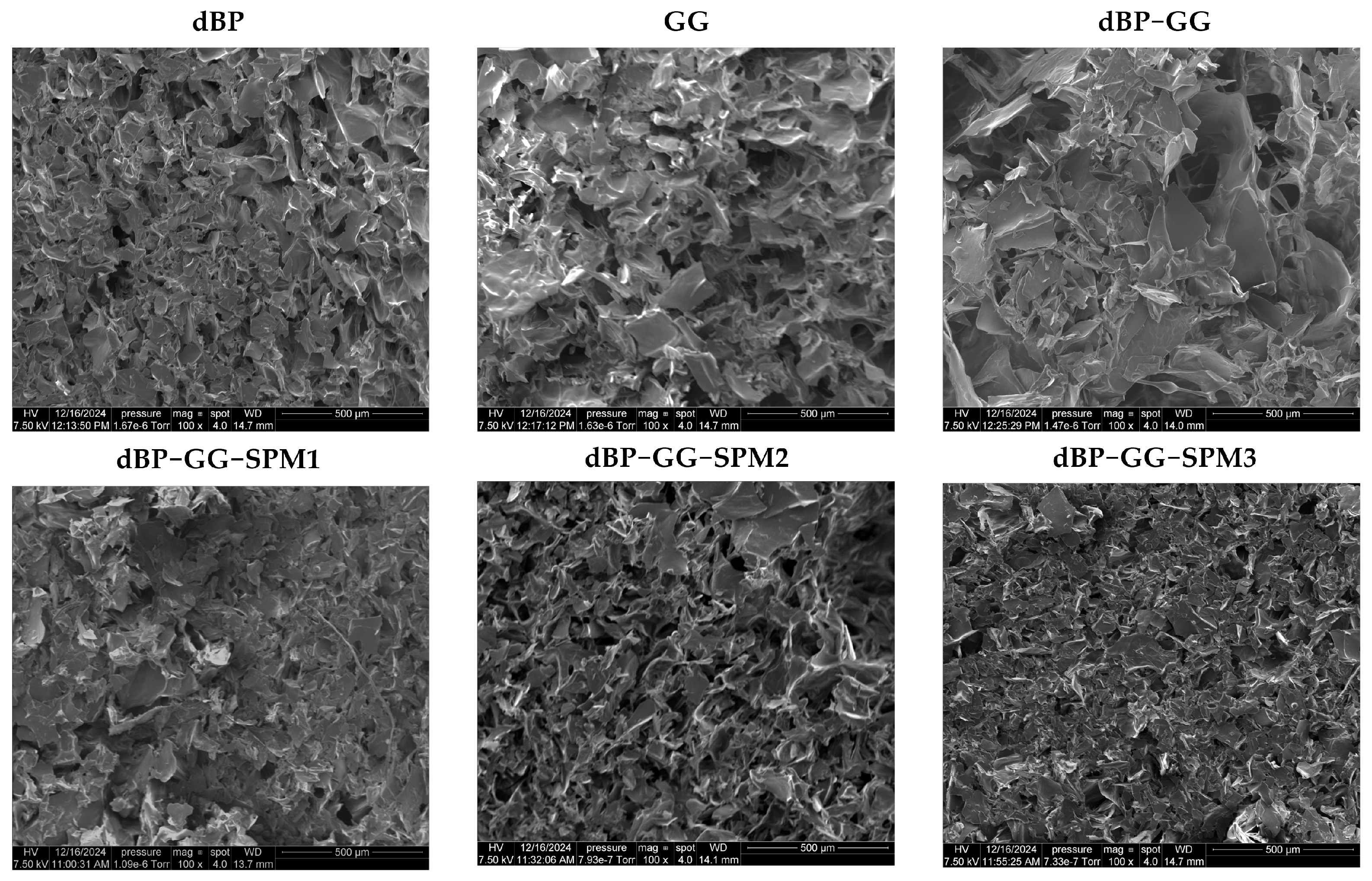Gels 12 00118 g001 Gels 12 00118 g001