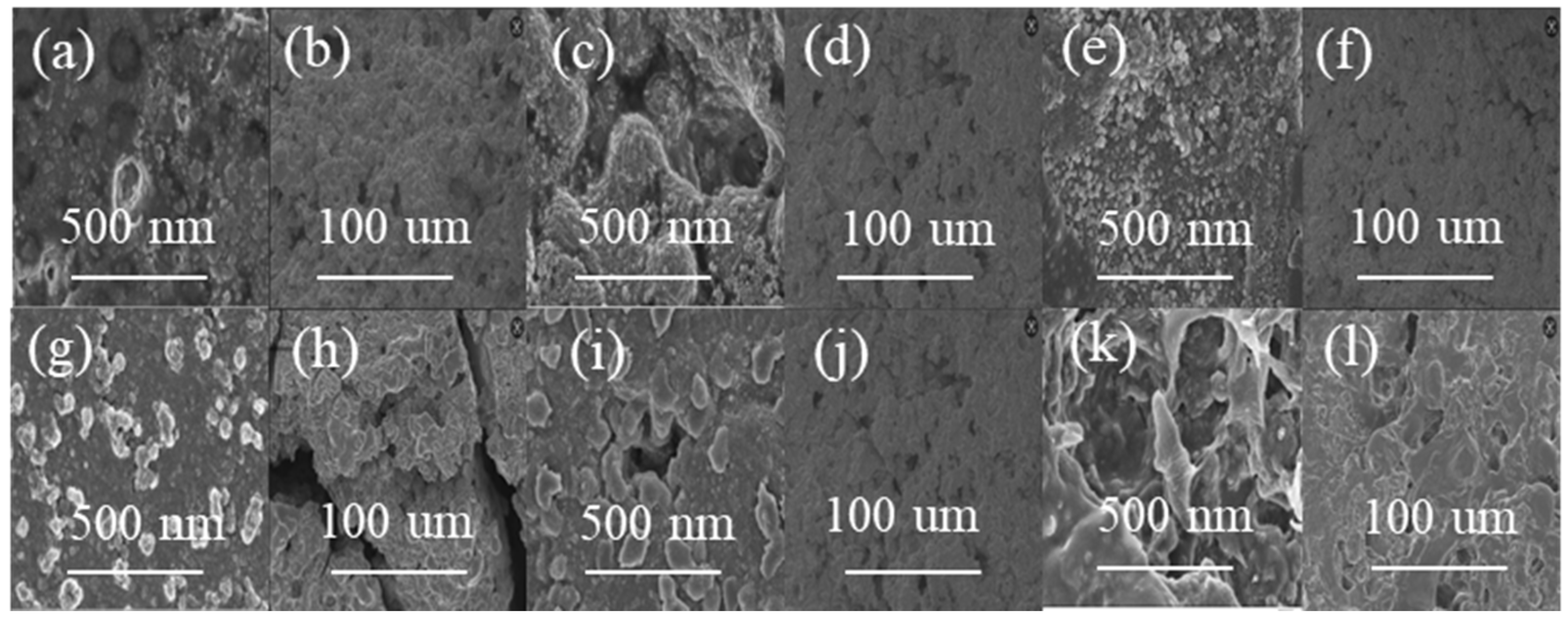 Gels 12 00121 g009 Gels 12 00121 g009