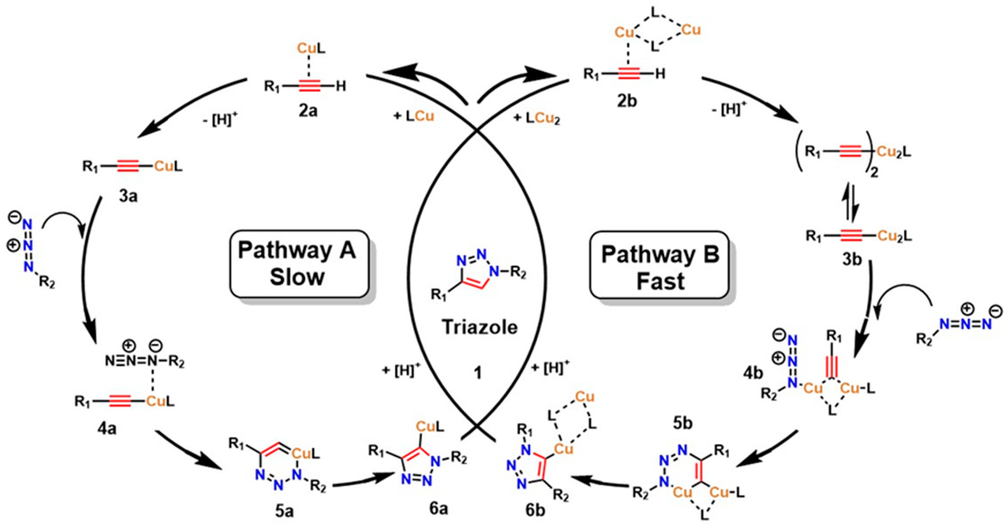 Gels 12 00127 g001 Gels 12 00127 g001