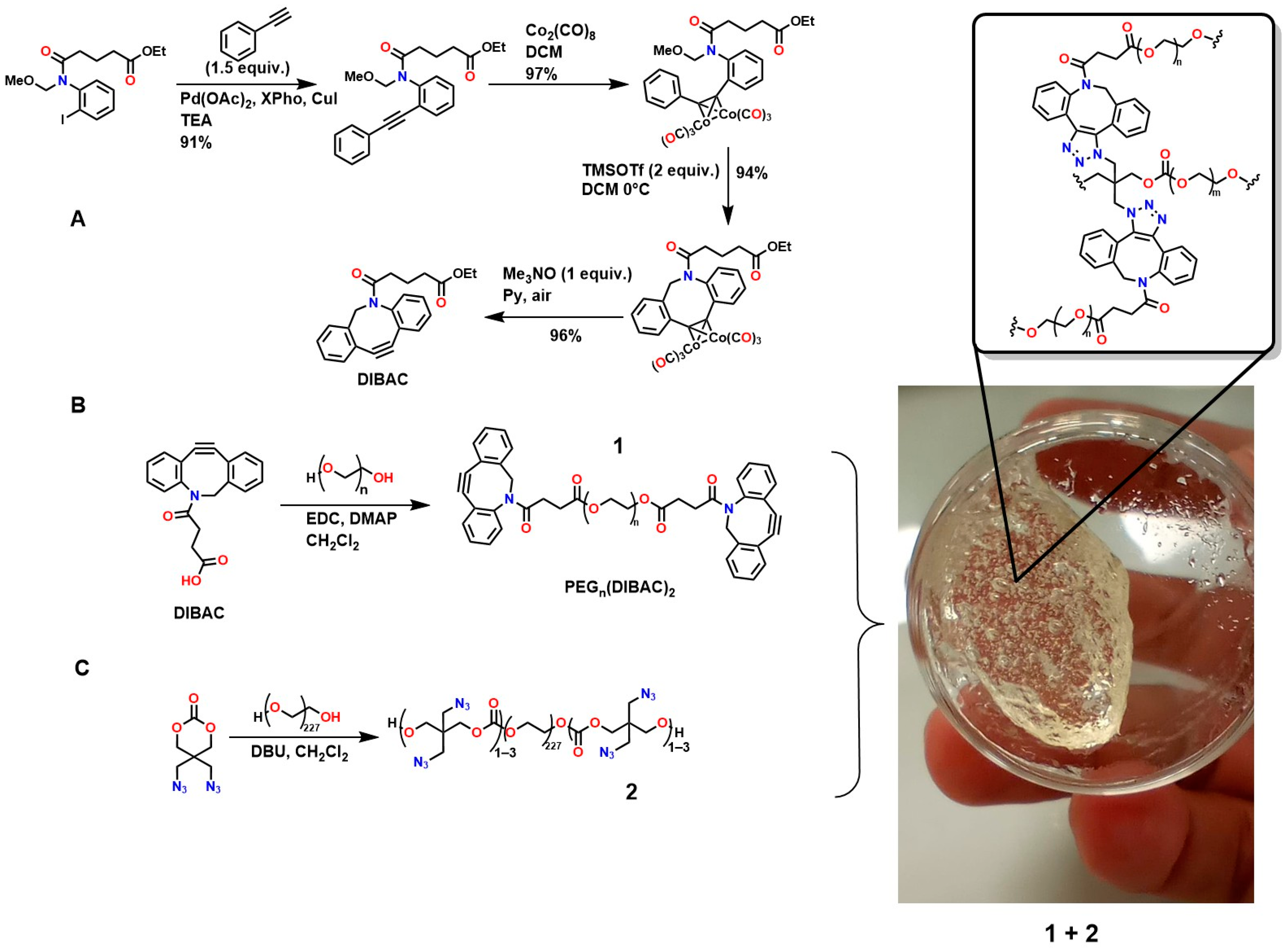 Gels 12 00127 g007 Gels 12 00127 g007