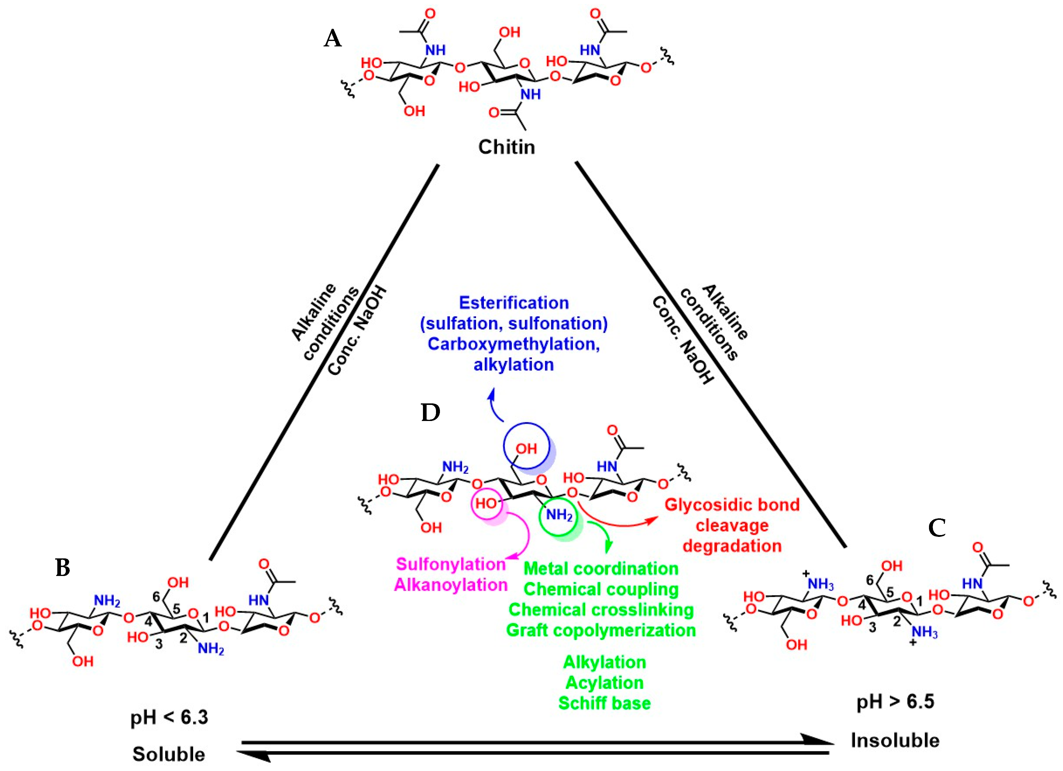 Gels 12 00127 g011 Gels 12 00127 g011