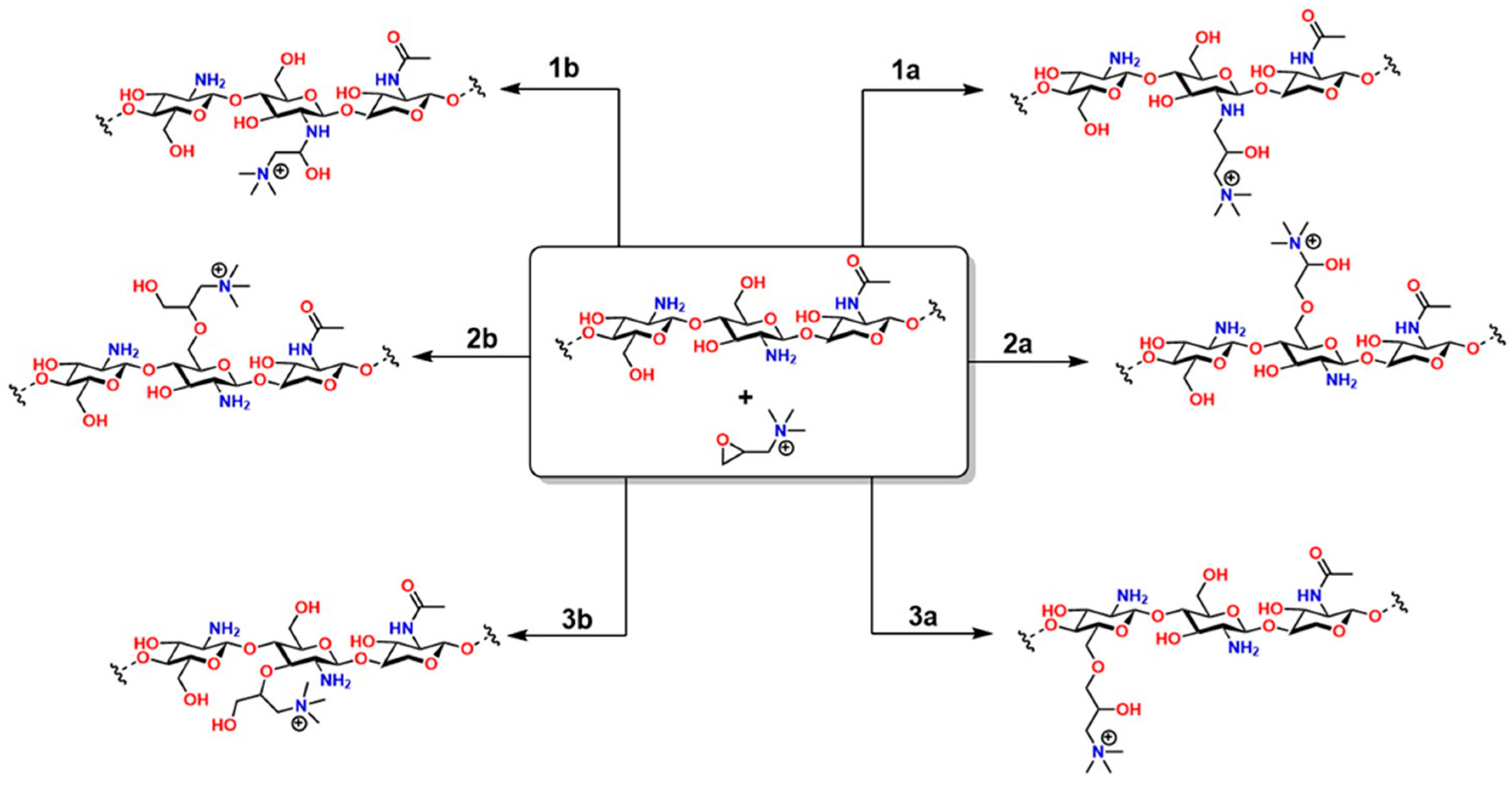 Gels 12 00127 g012 Gels 12 00127 g012