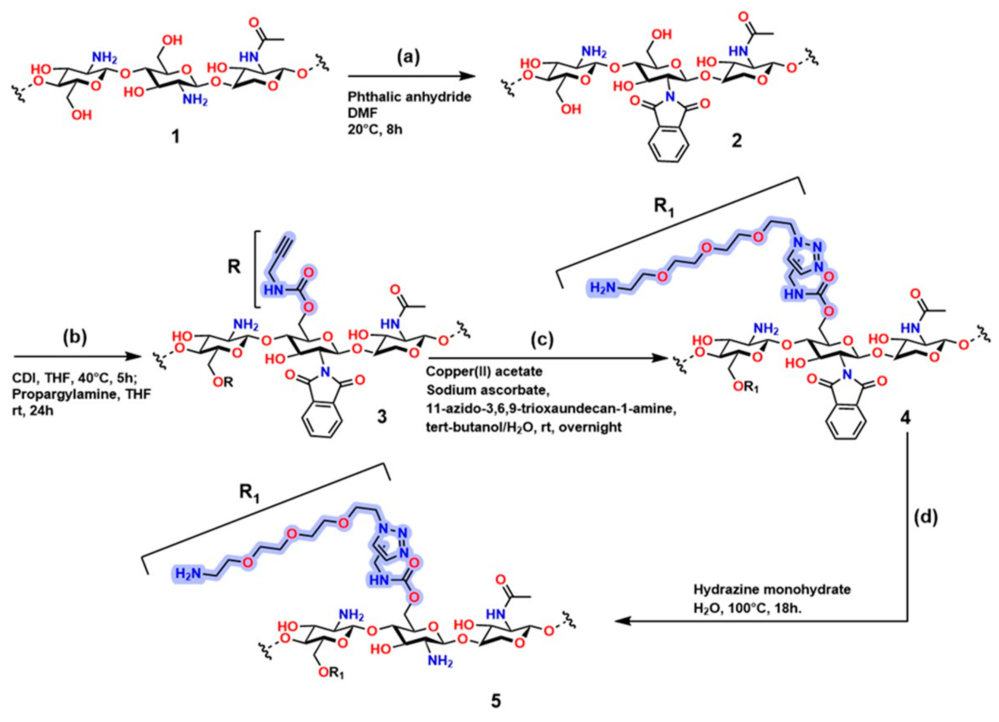 Gels 12 00127 g015 Gels 12 00127 g015