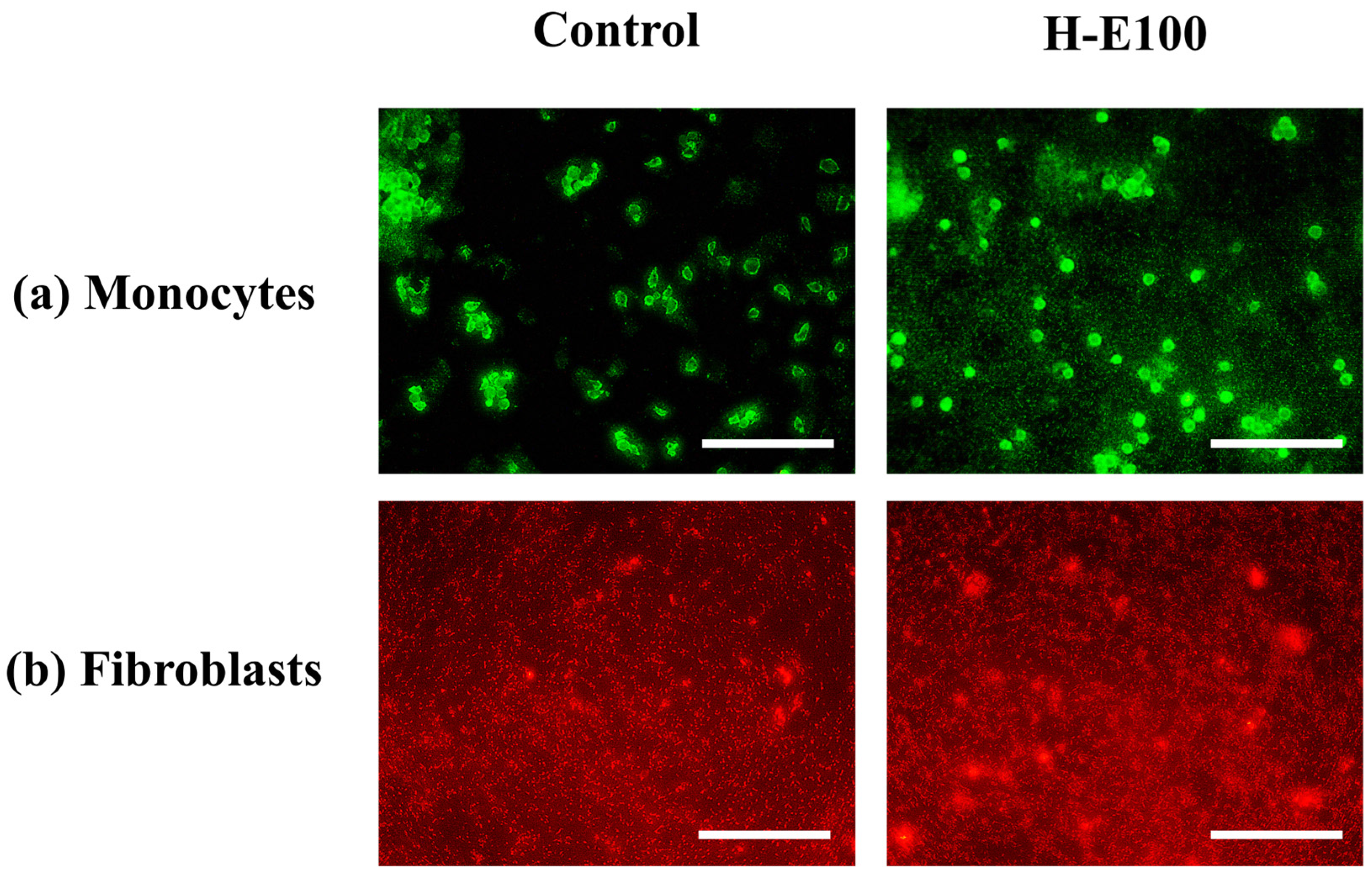 Gels 12 00129 g008 Gels 12 00129 g008