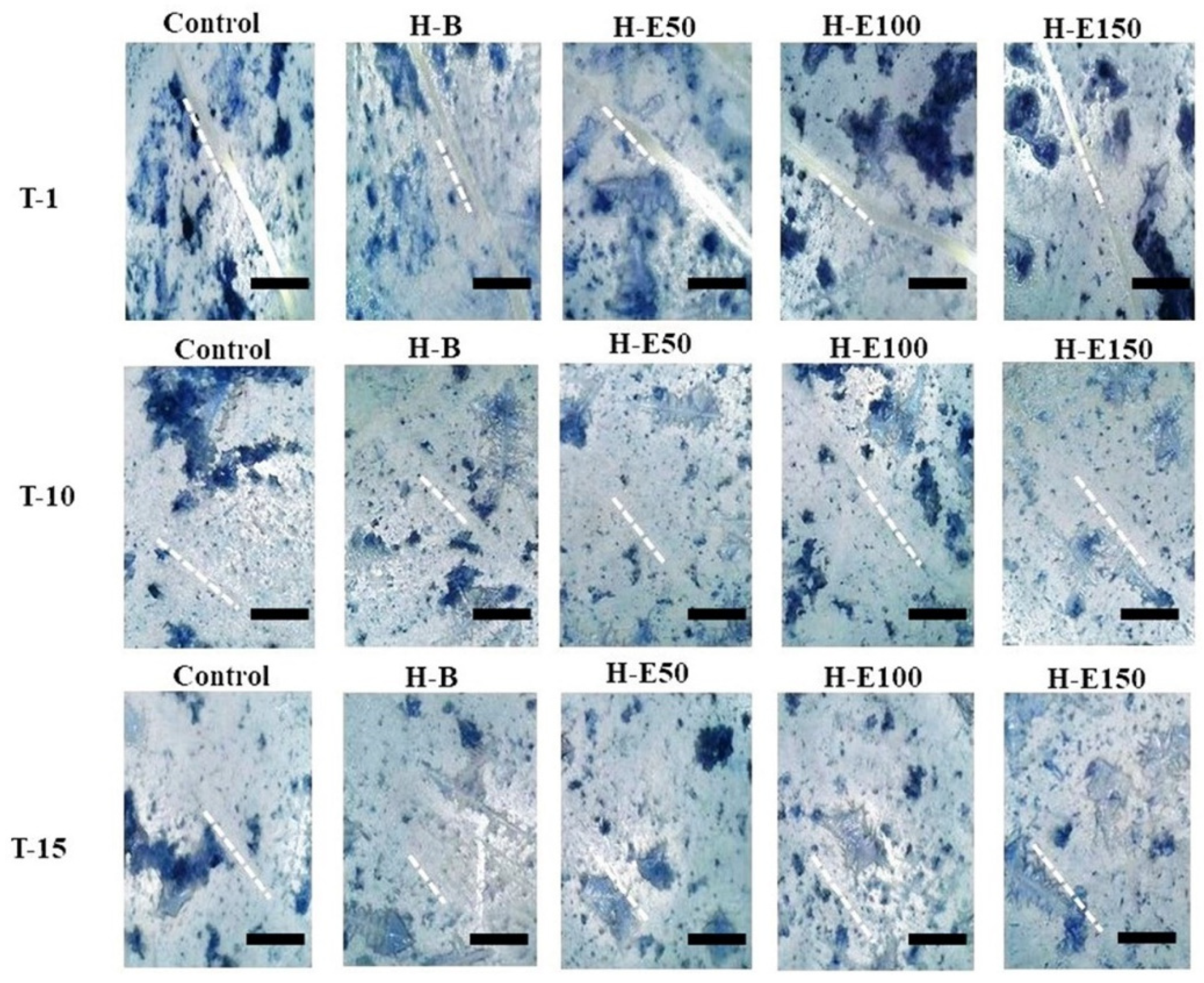 Gels 12 00129 g009 Gels 12 00129 g009