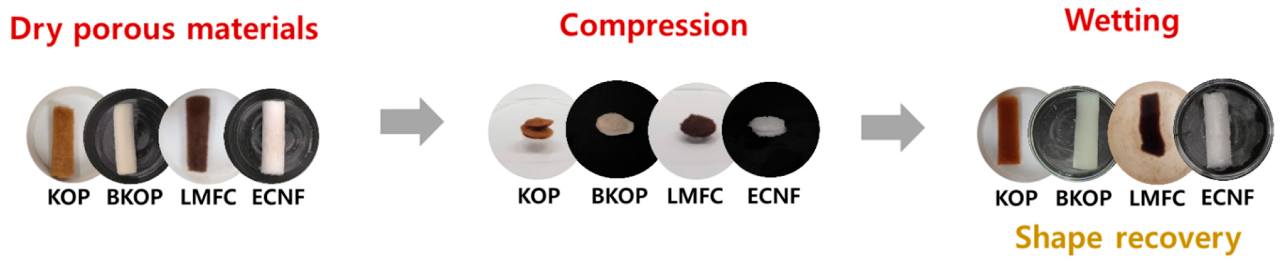 Gels 12 00140 g007 Gels 12 00140 g007