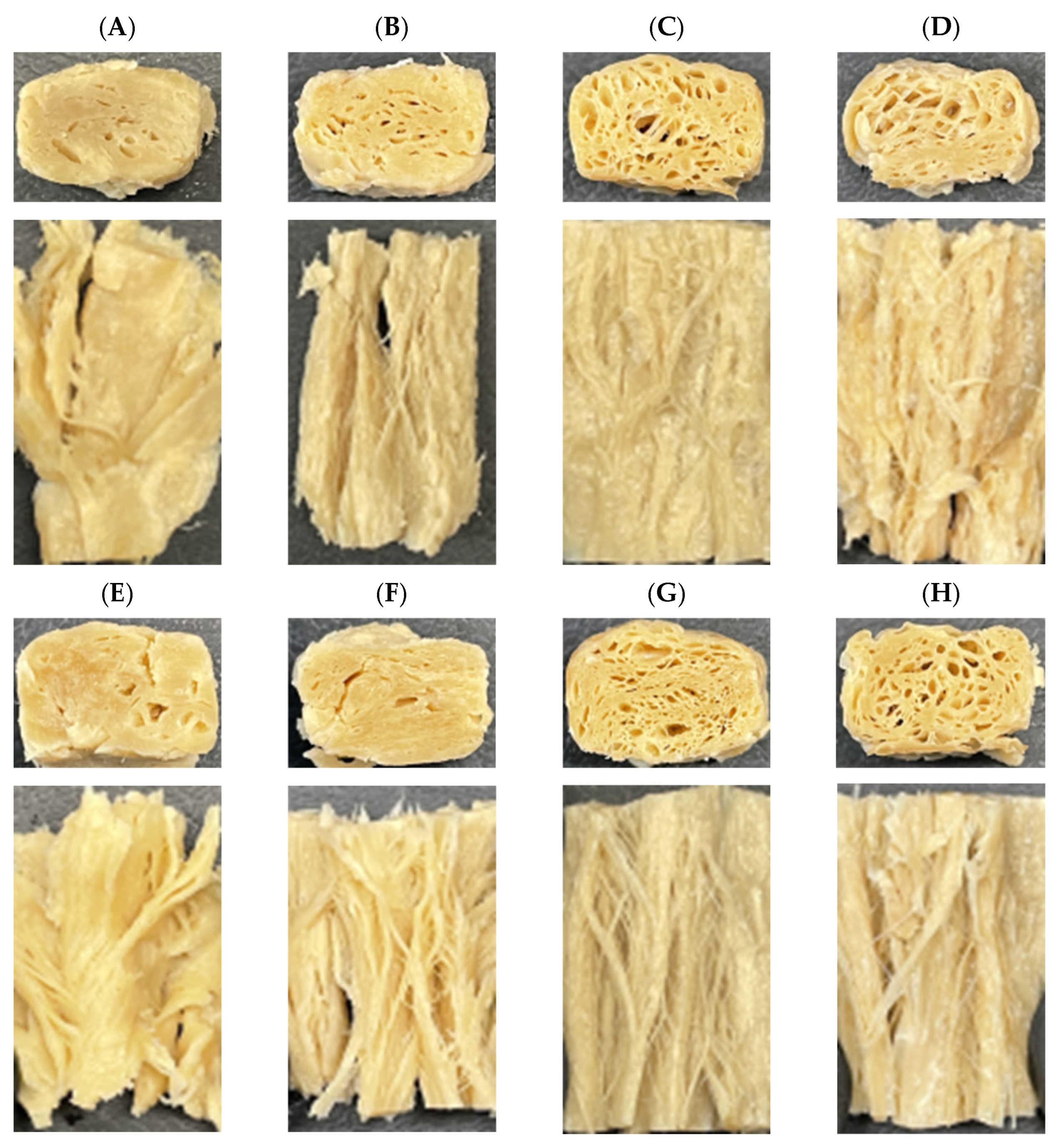 Gels 12 00175 g004 Gels 12 00175 g004